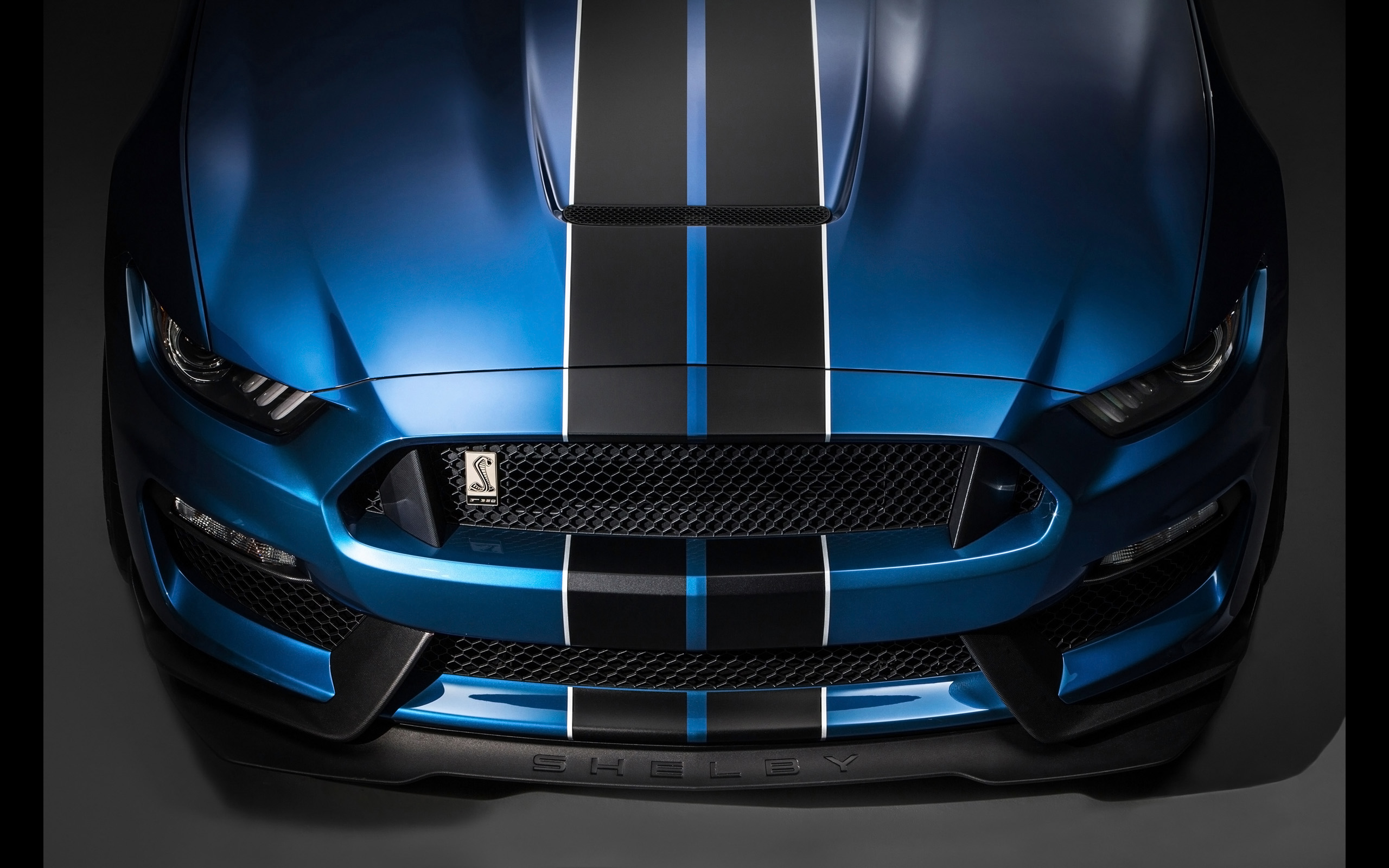 Ford Mustang Shelby Gt350 Wallpapers