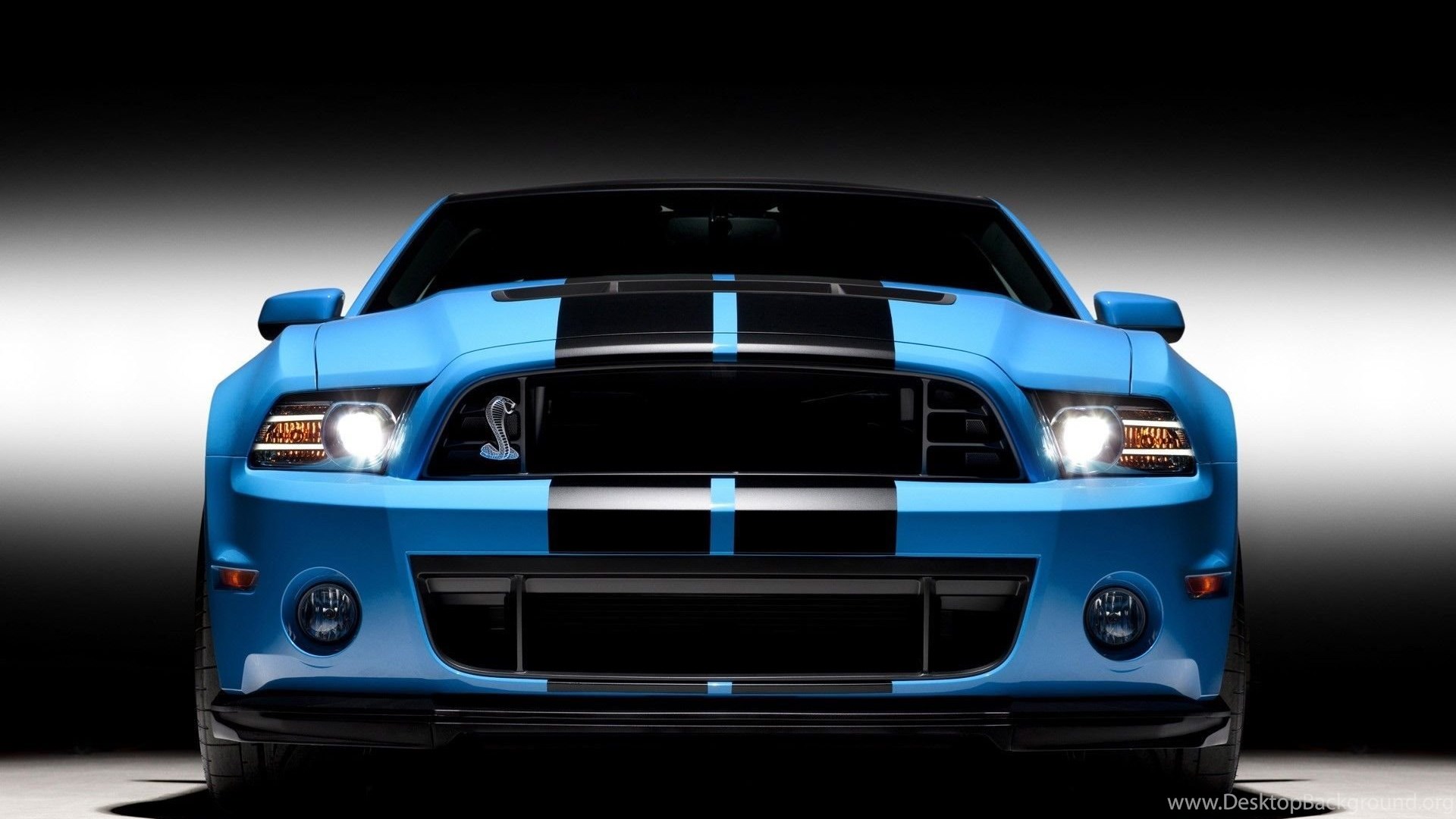 Ford Mustang Shelby Gt500 Wallpapers