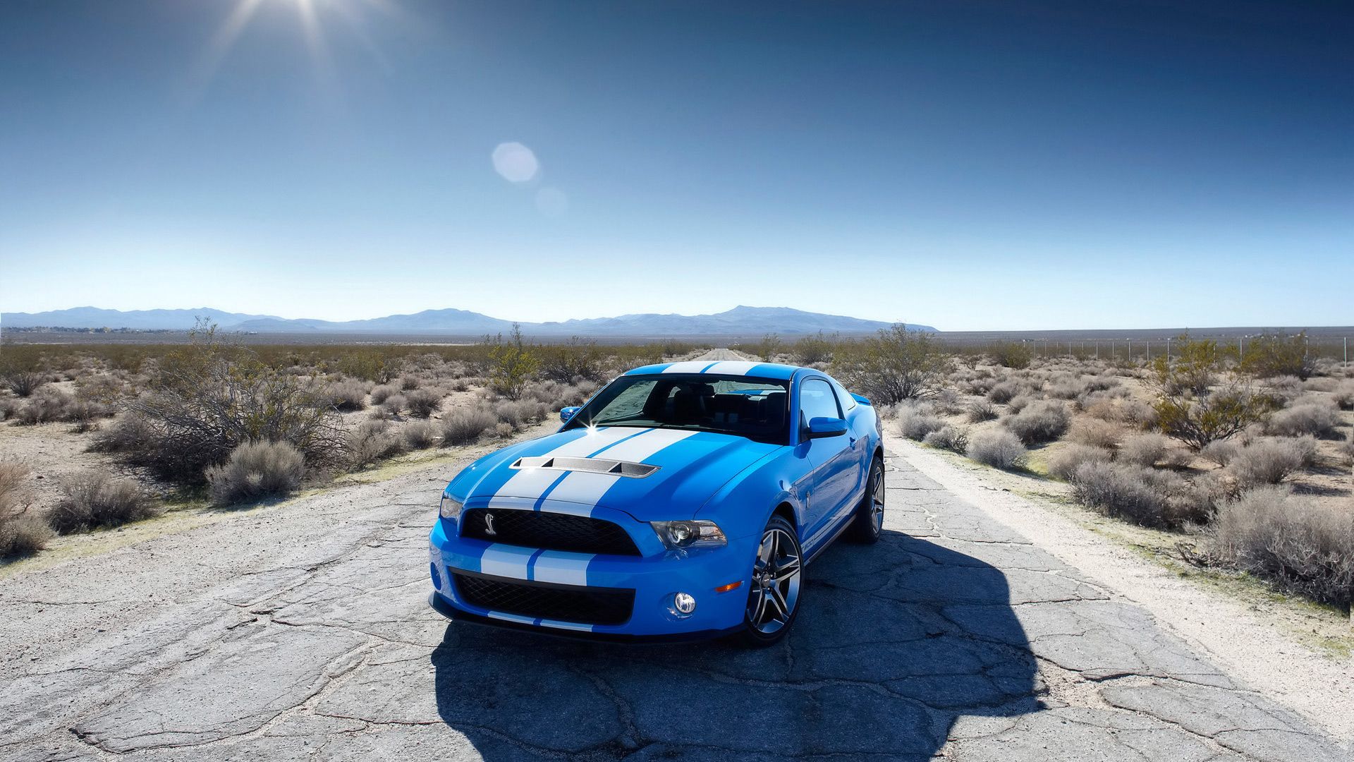 Ford Mustang Shelby Gt500 Svt Wallpapers