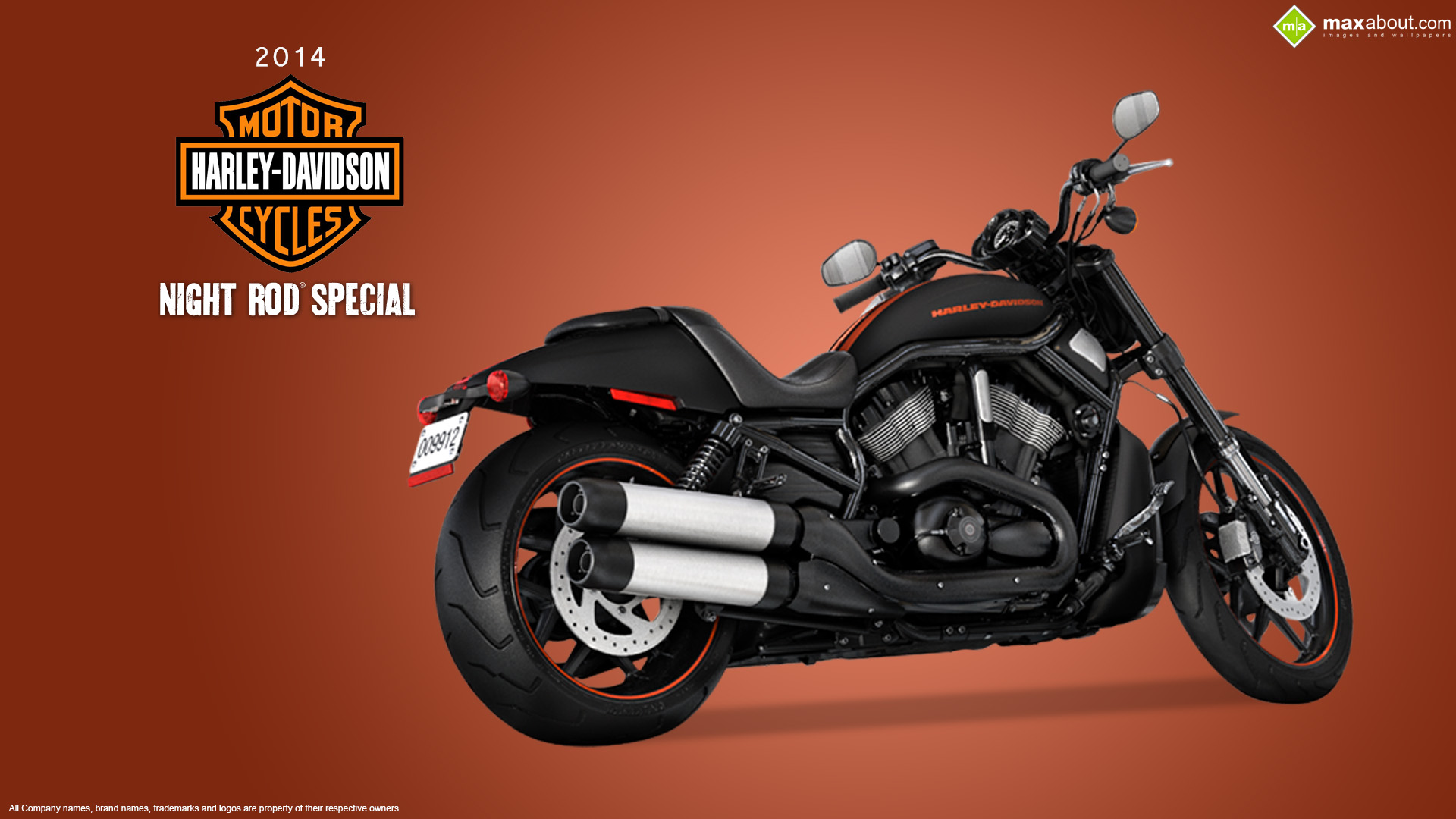 Harley-Davidson Night Rod Wallpapers