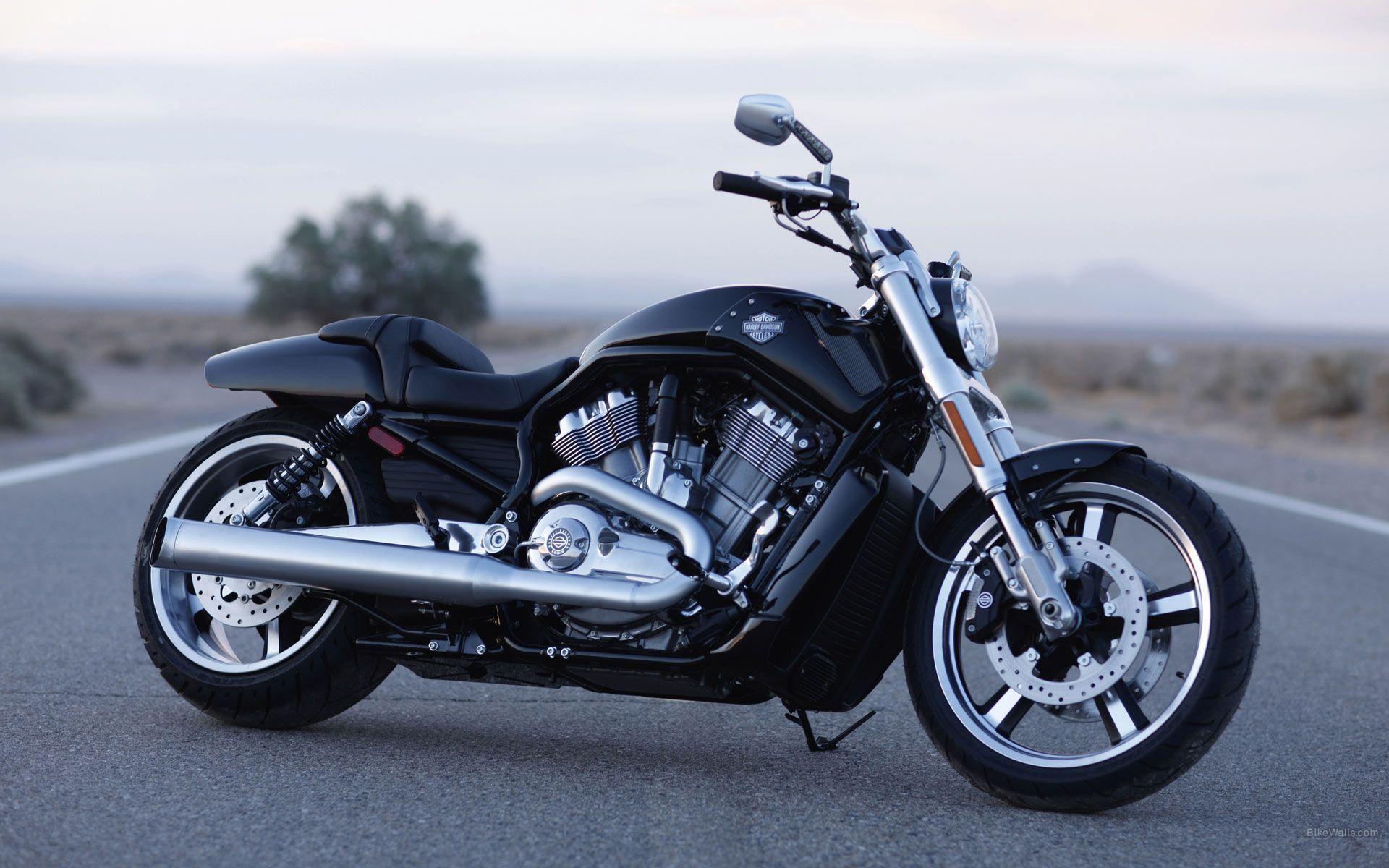 Harley-Davidson V Rod Wallpapers