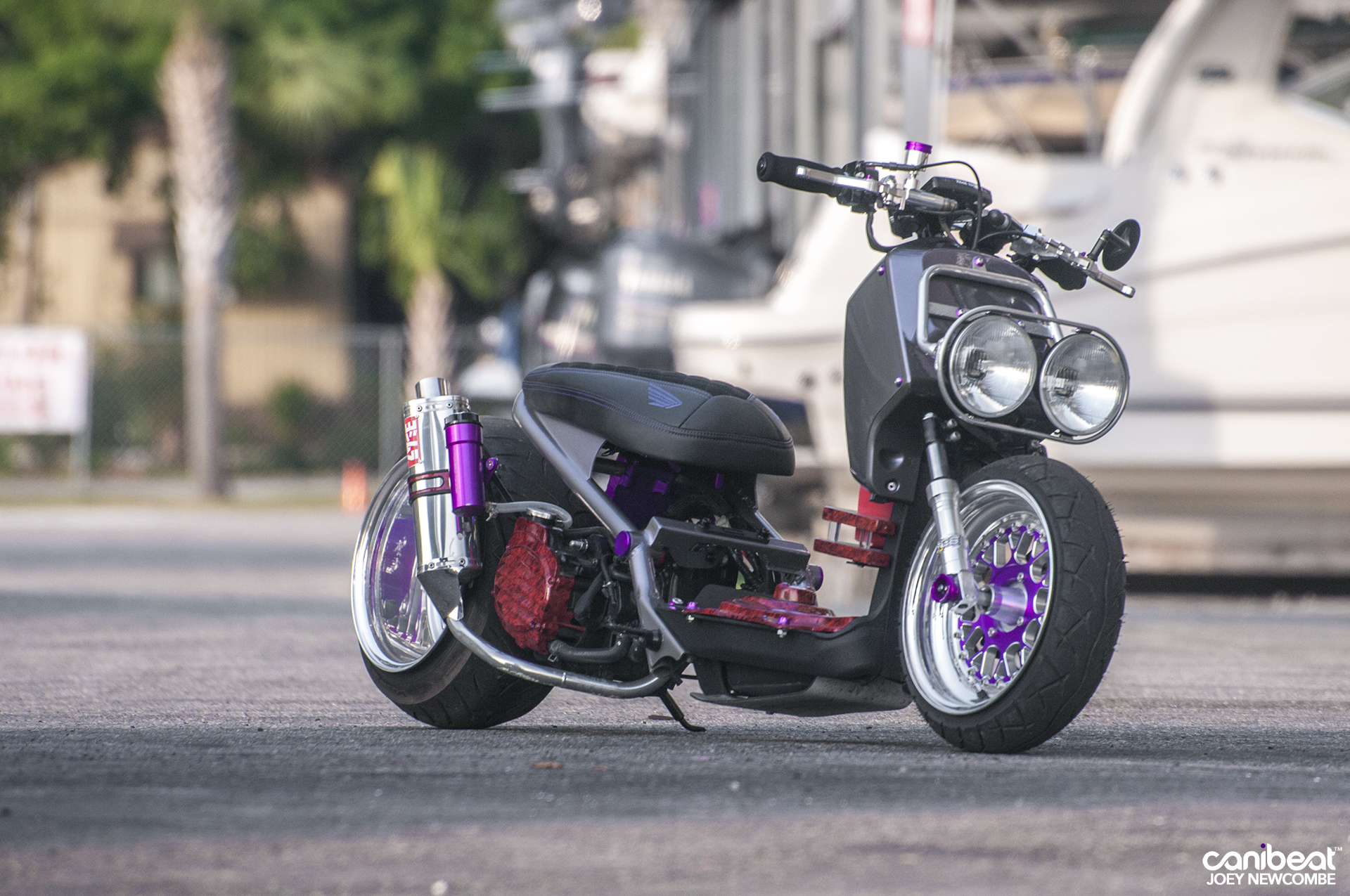 Honda Ruckus Wallpapers