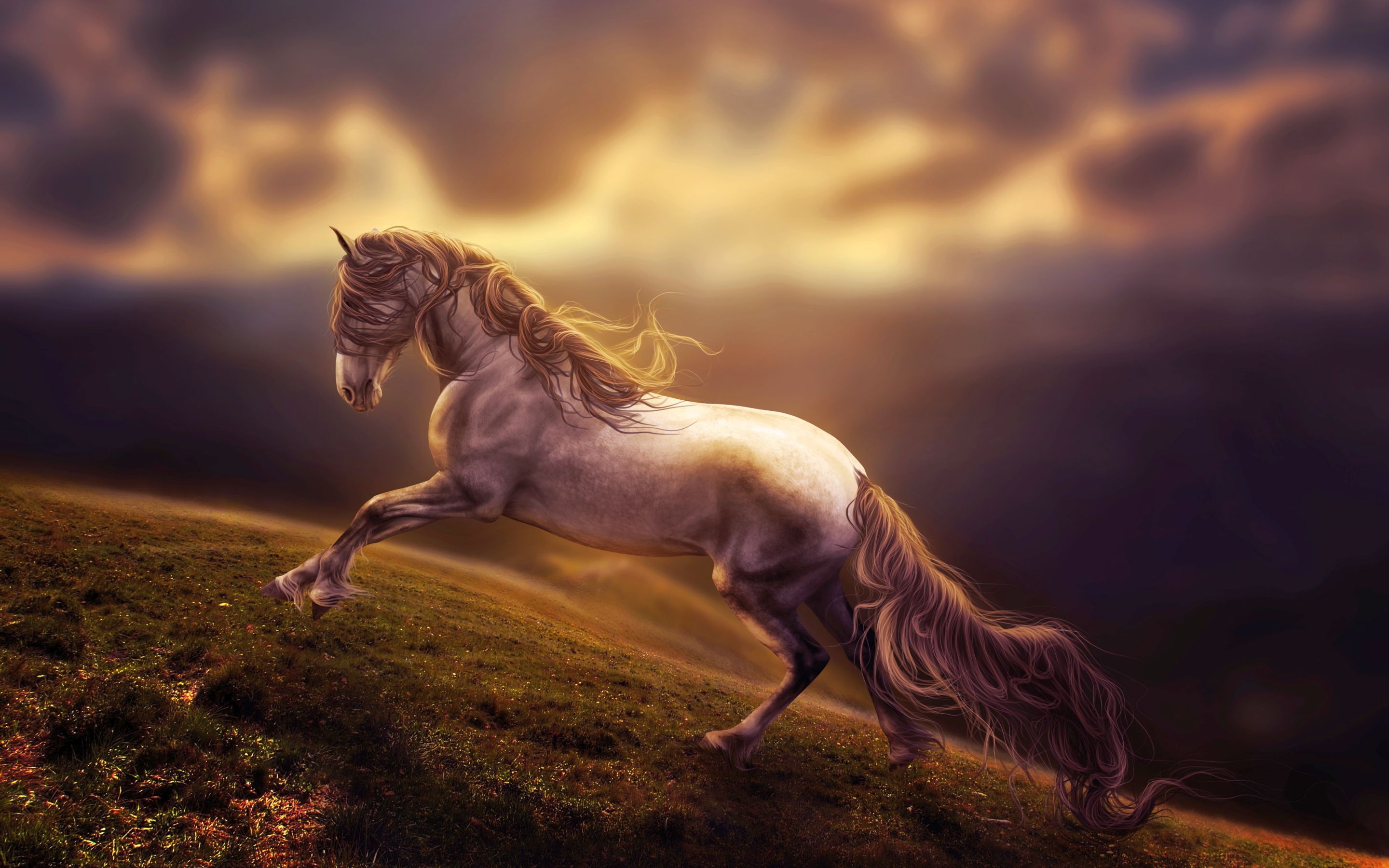 Horse Drawn Wallpapers