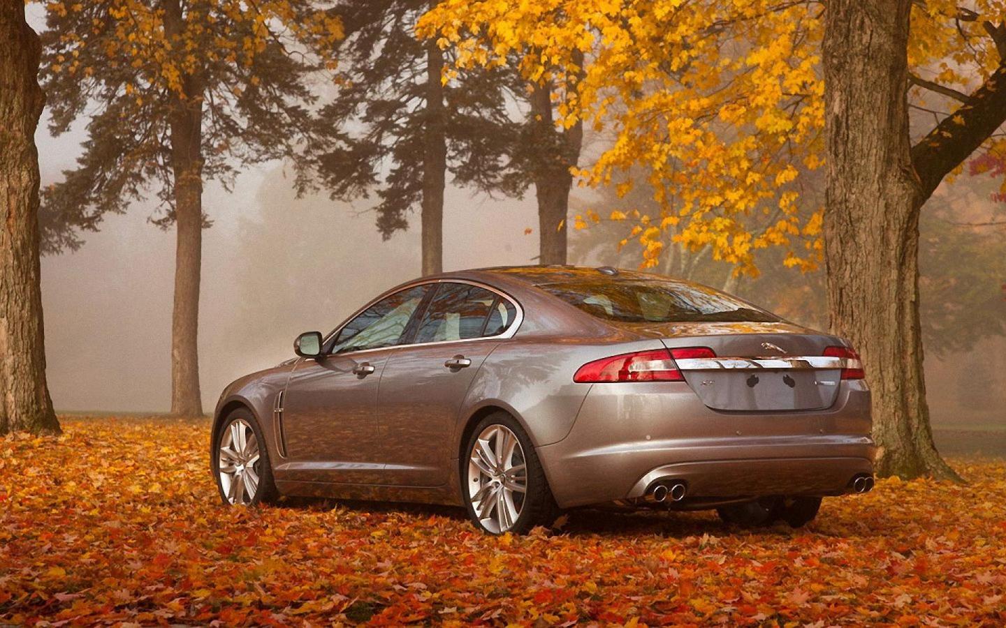 Jaguar Xf Wallpapers