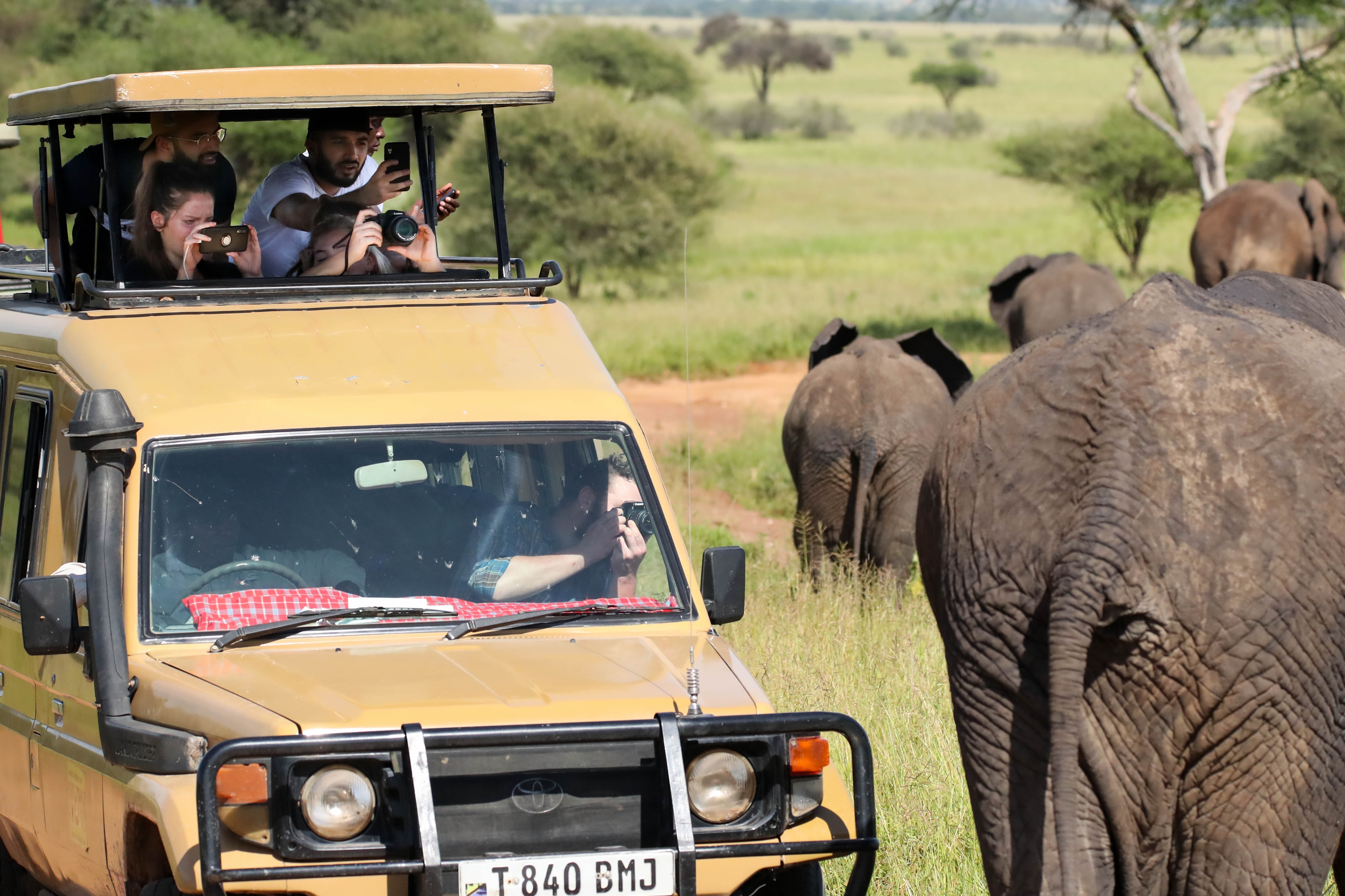 Jeep Safari Wallpapers