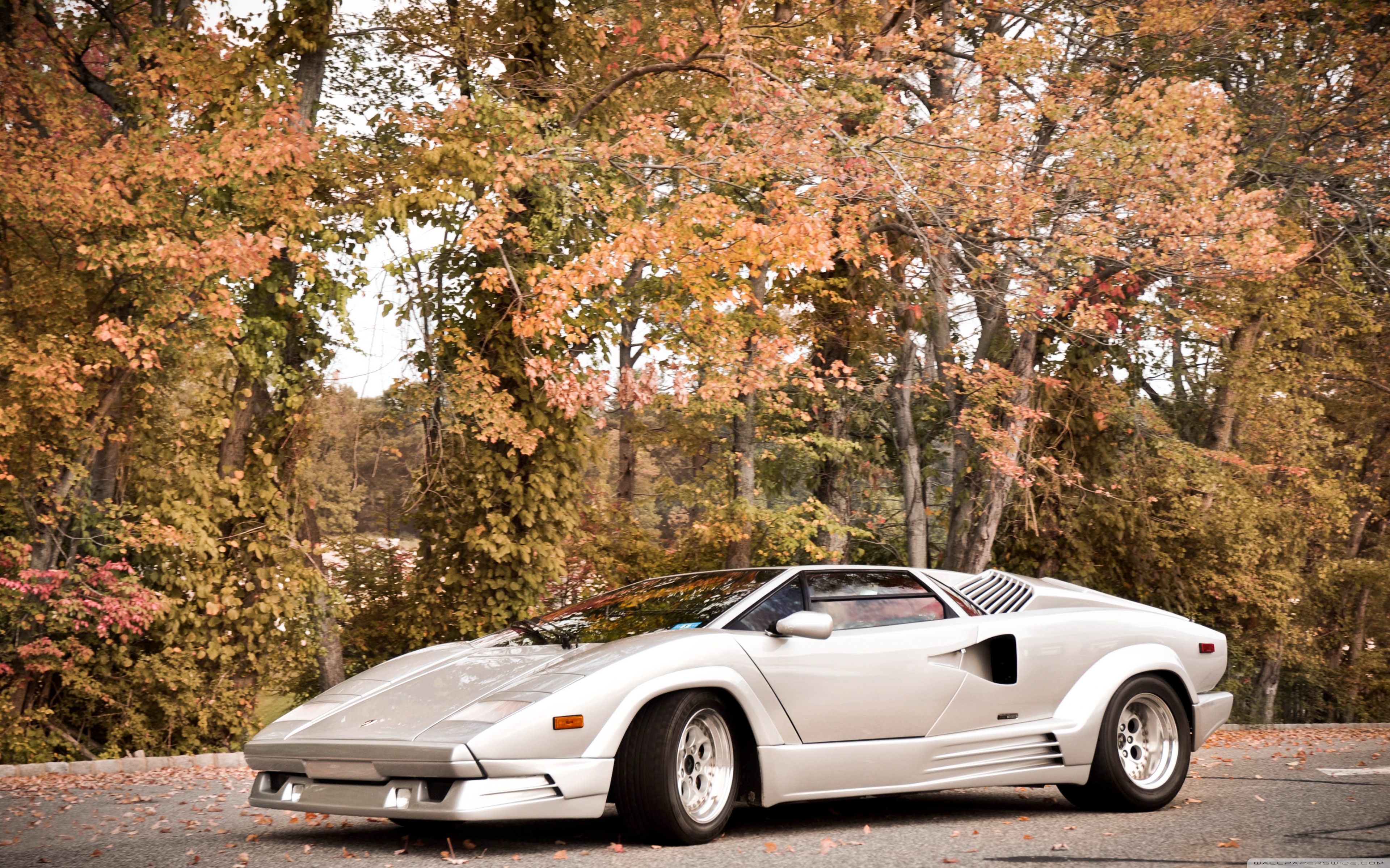 Lamborghini Countach Wallpapers