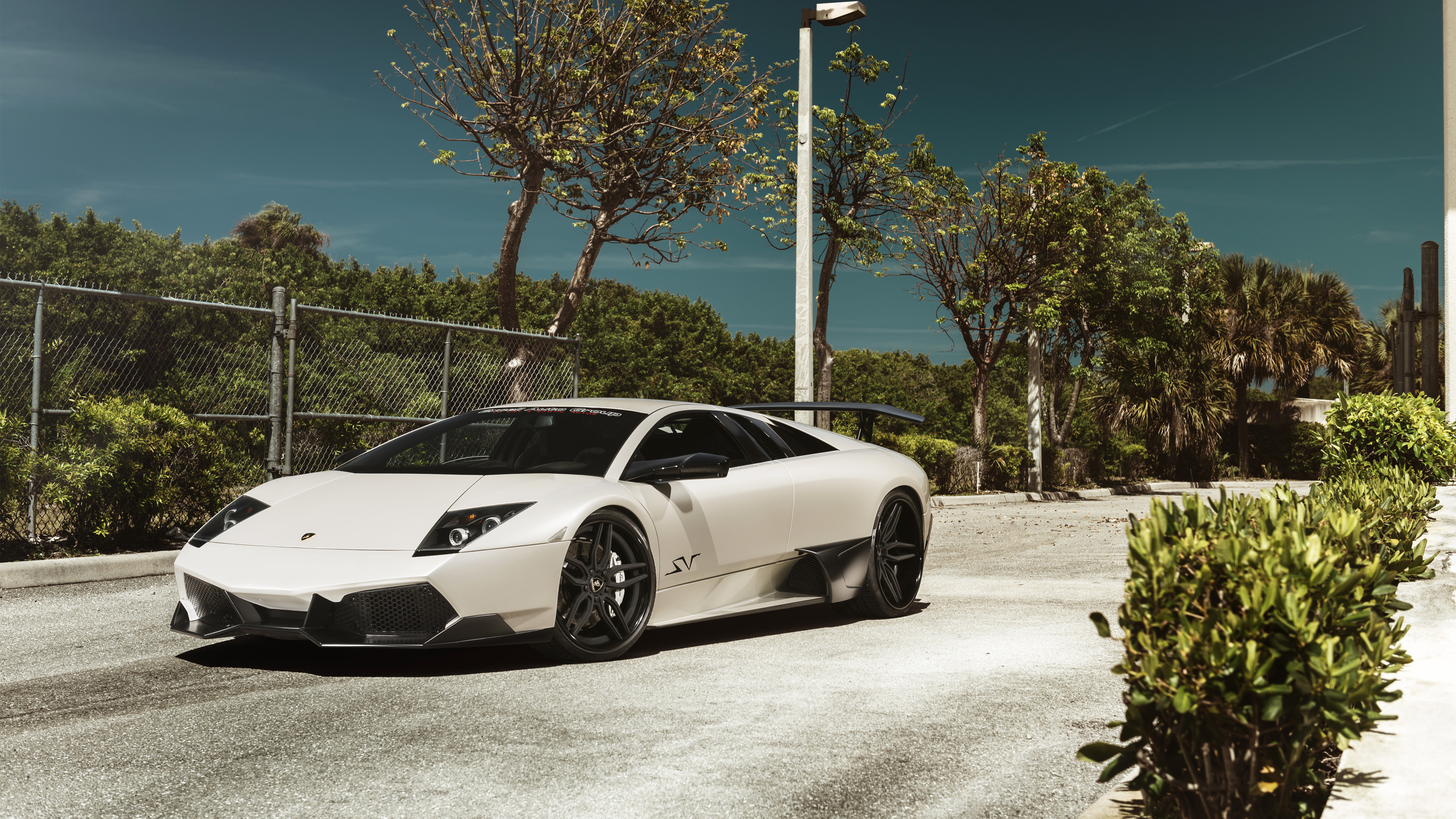 Lamborghini Murcielago Wallpapers