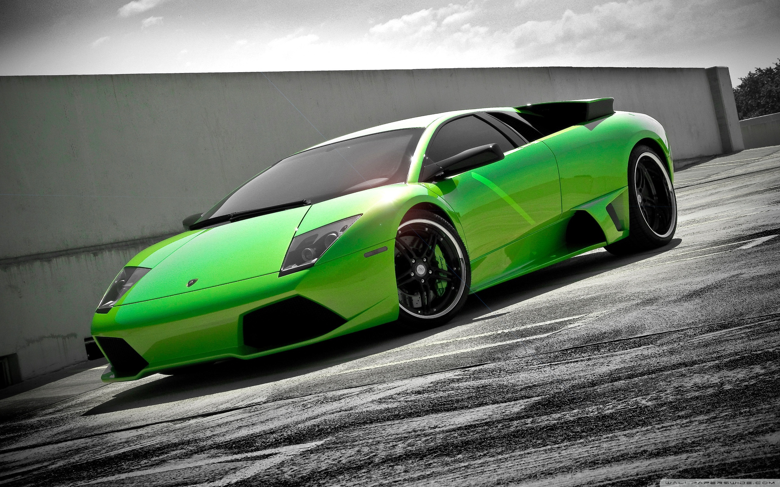 Lamborghini Murcielago Wallpapers