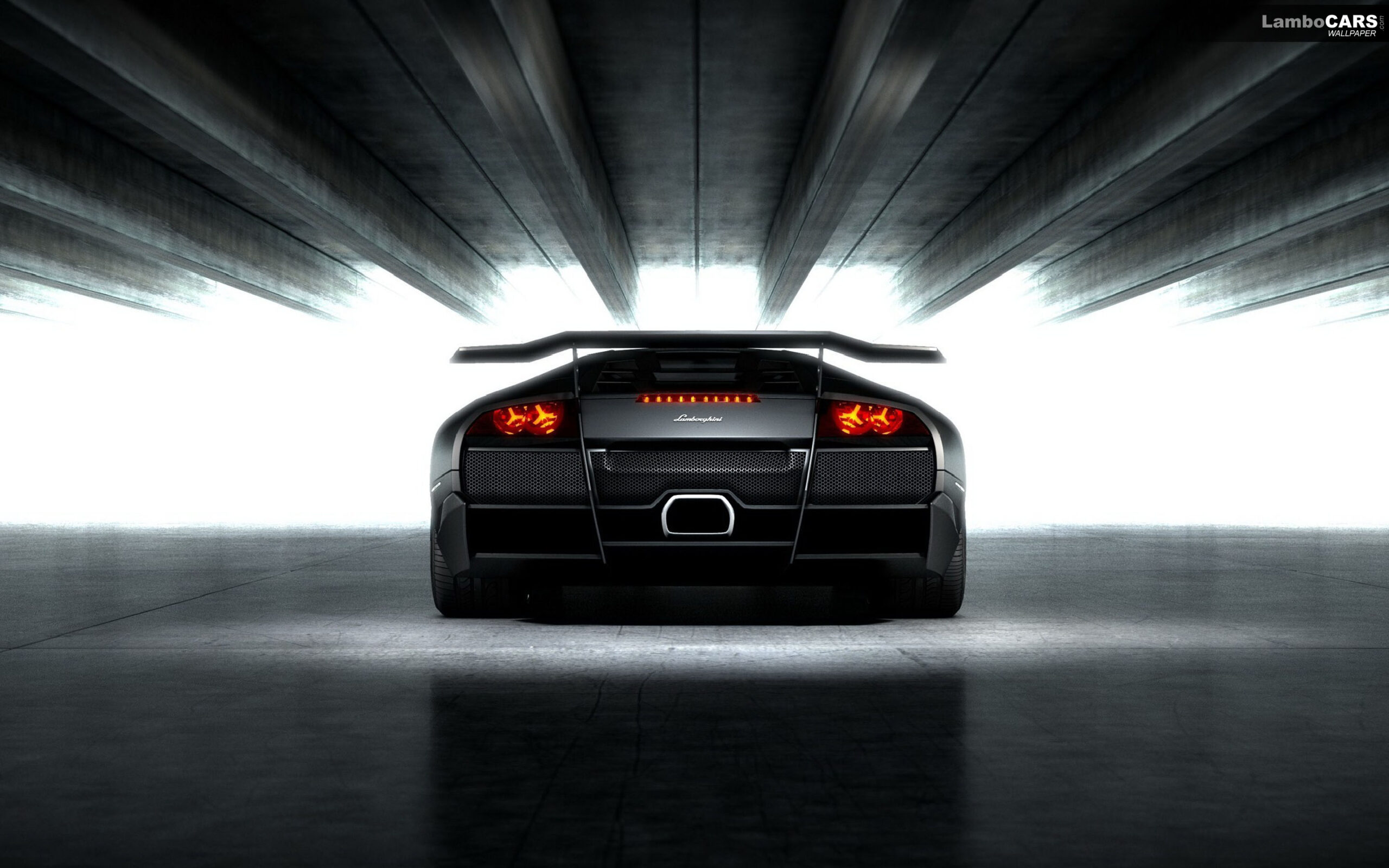 Lamborghini Murcielago Wallpapers