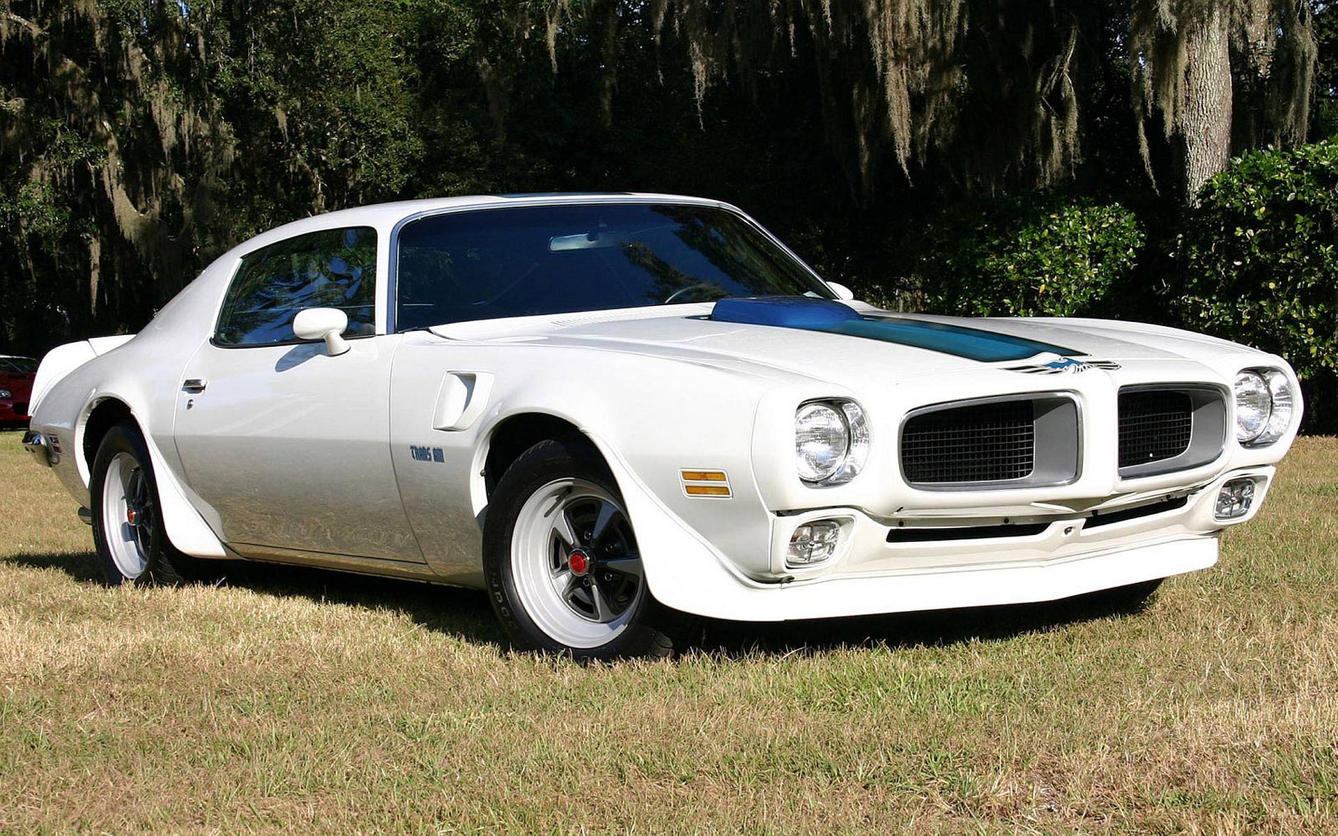 Lingenfelter Pontiac Trans Am Wallpapers