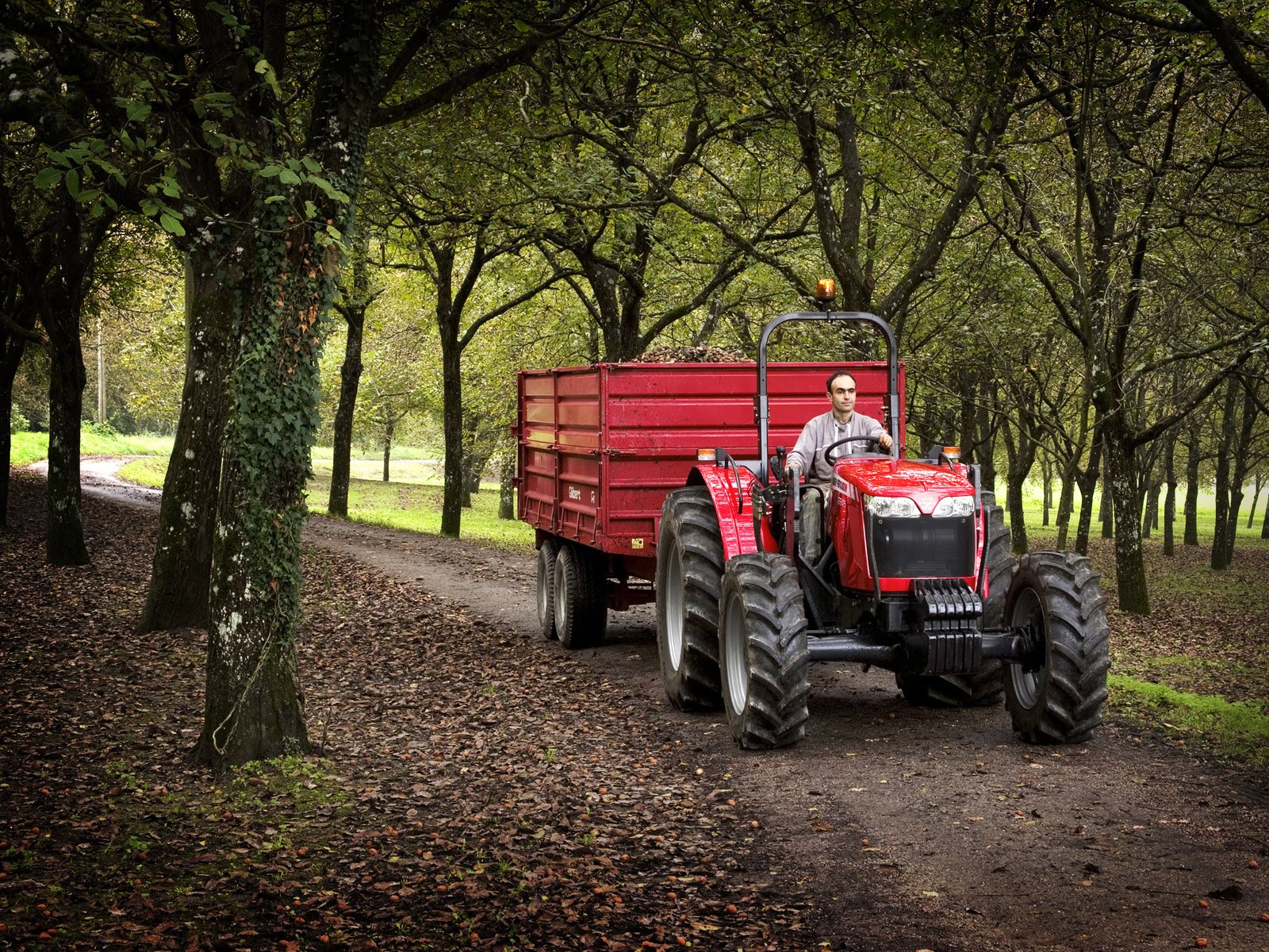 Massey Ferguson Wallpapers