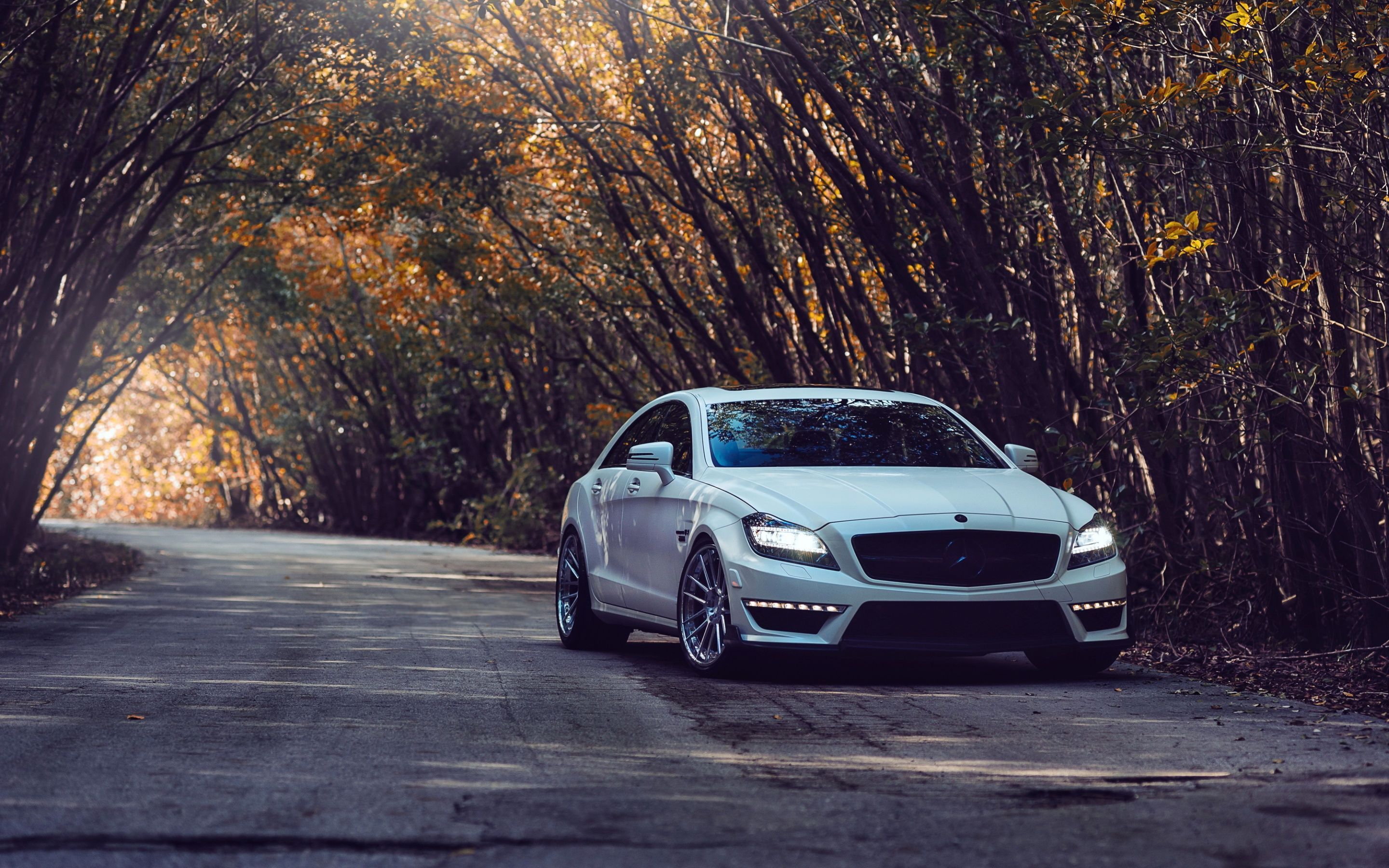 Mercedes-Benz Cls-Class Wallpapers