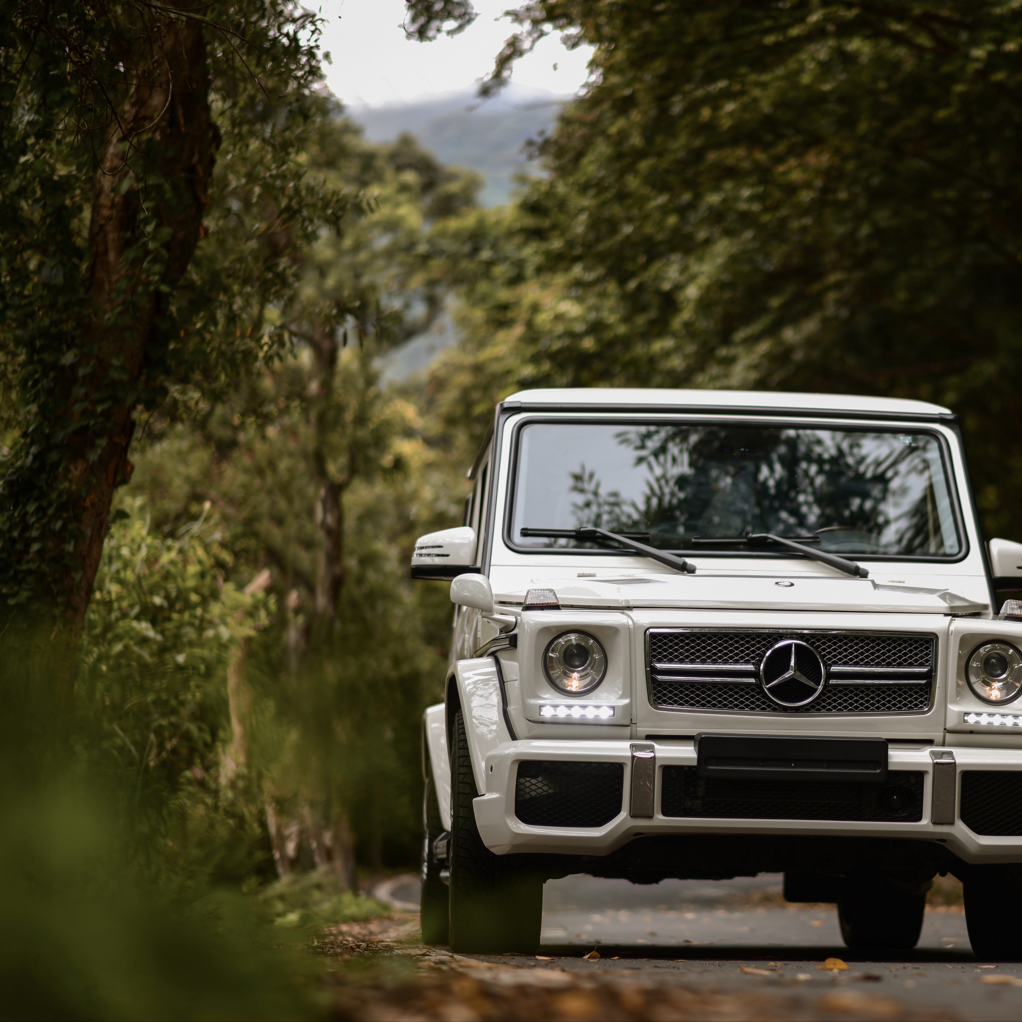 Mercedes-Benz G500 Wallpapers