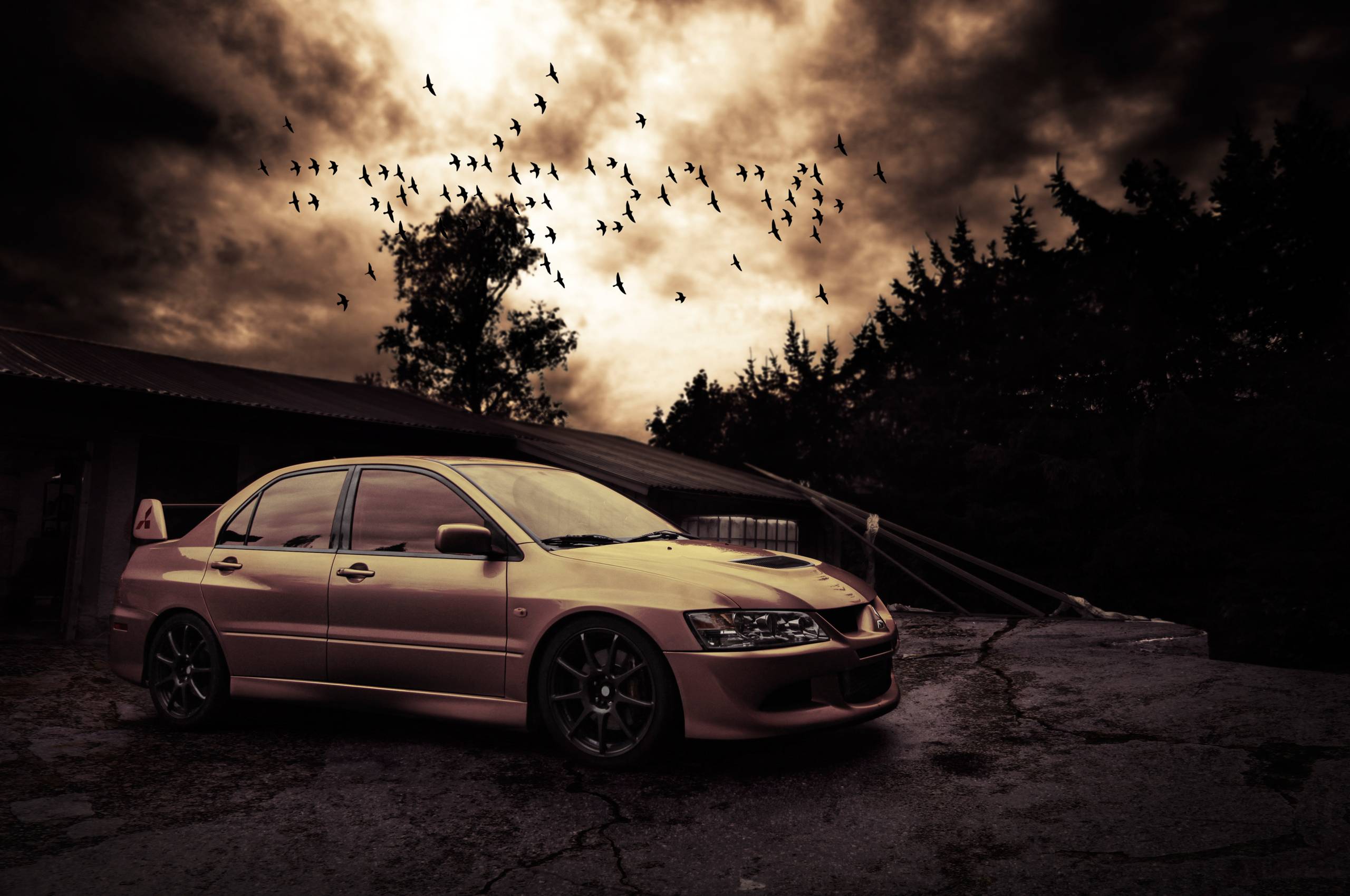 Mitsubishi Evo 8 Wallpapers