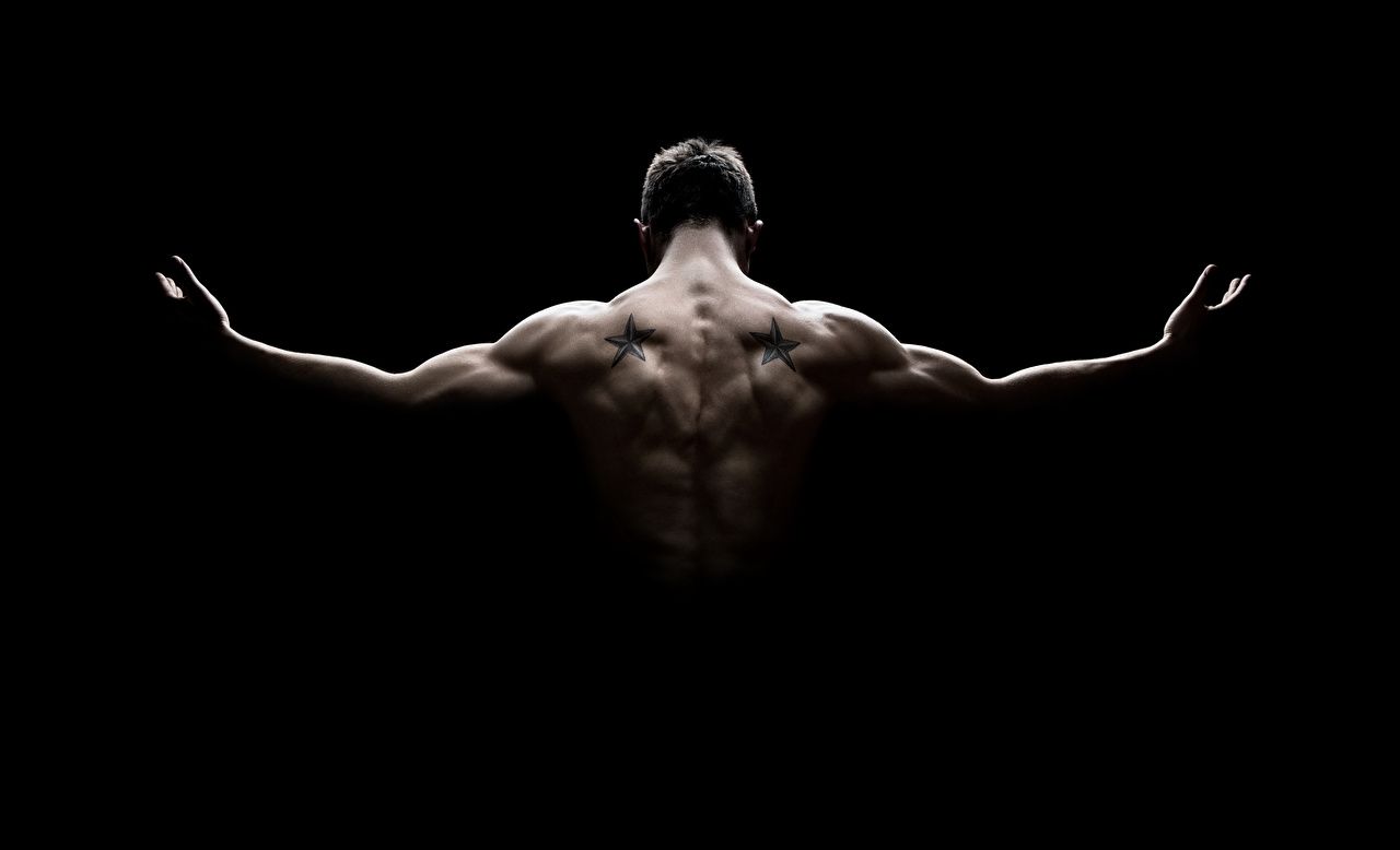 Muscle Wallpapers