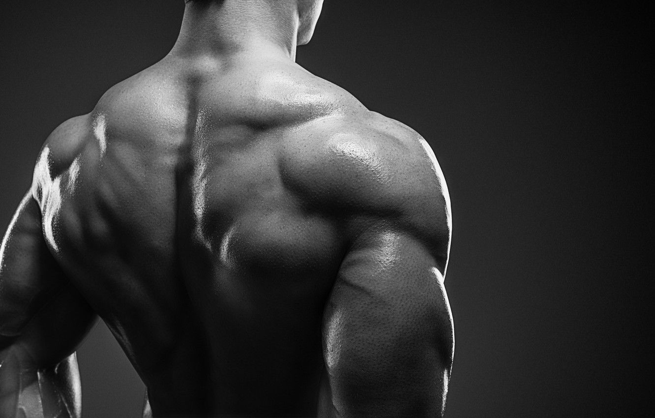 Muscle Wallpapers