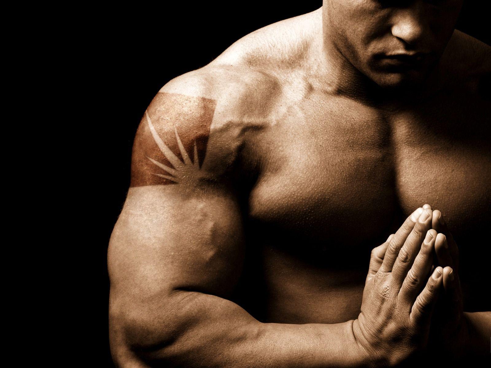 Muscle Wallpapers