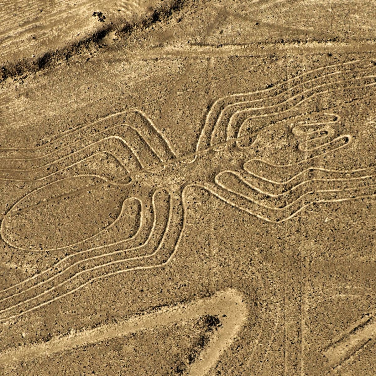 Nazca Wallpapers