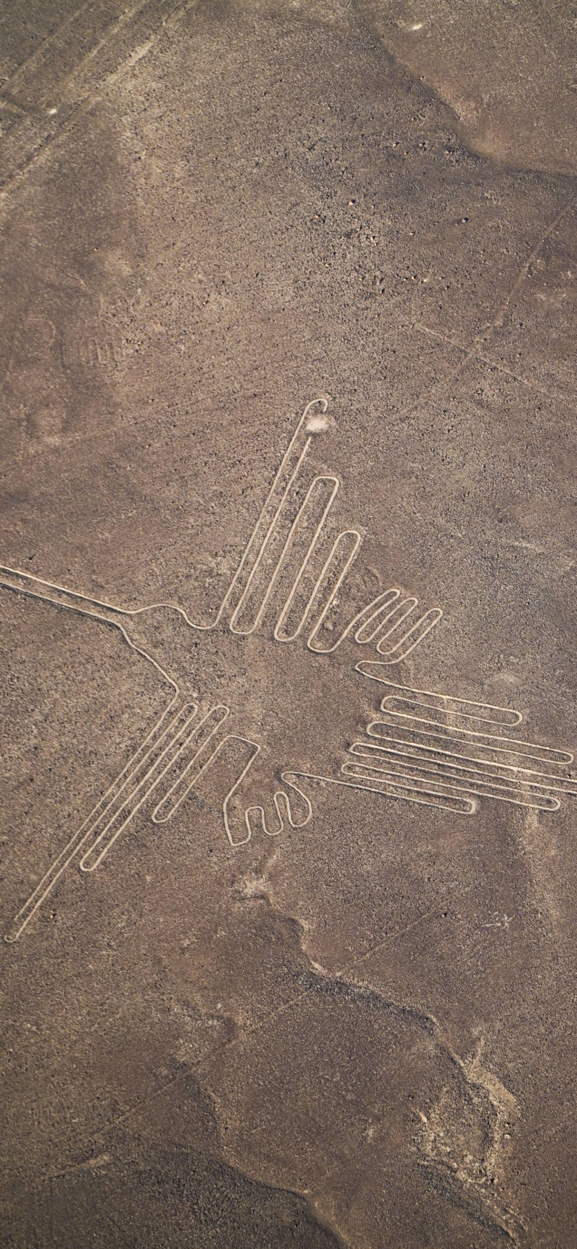 Nazca Wallpapers