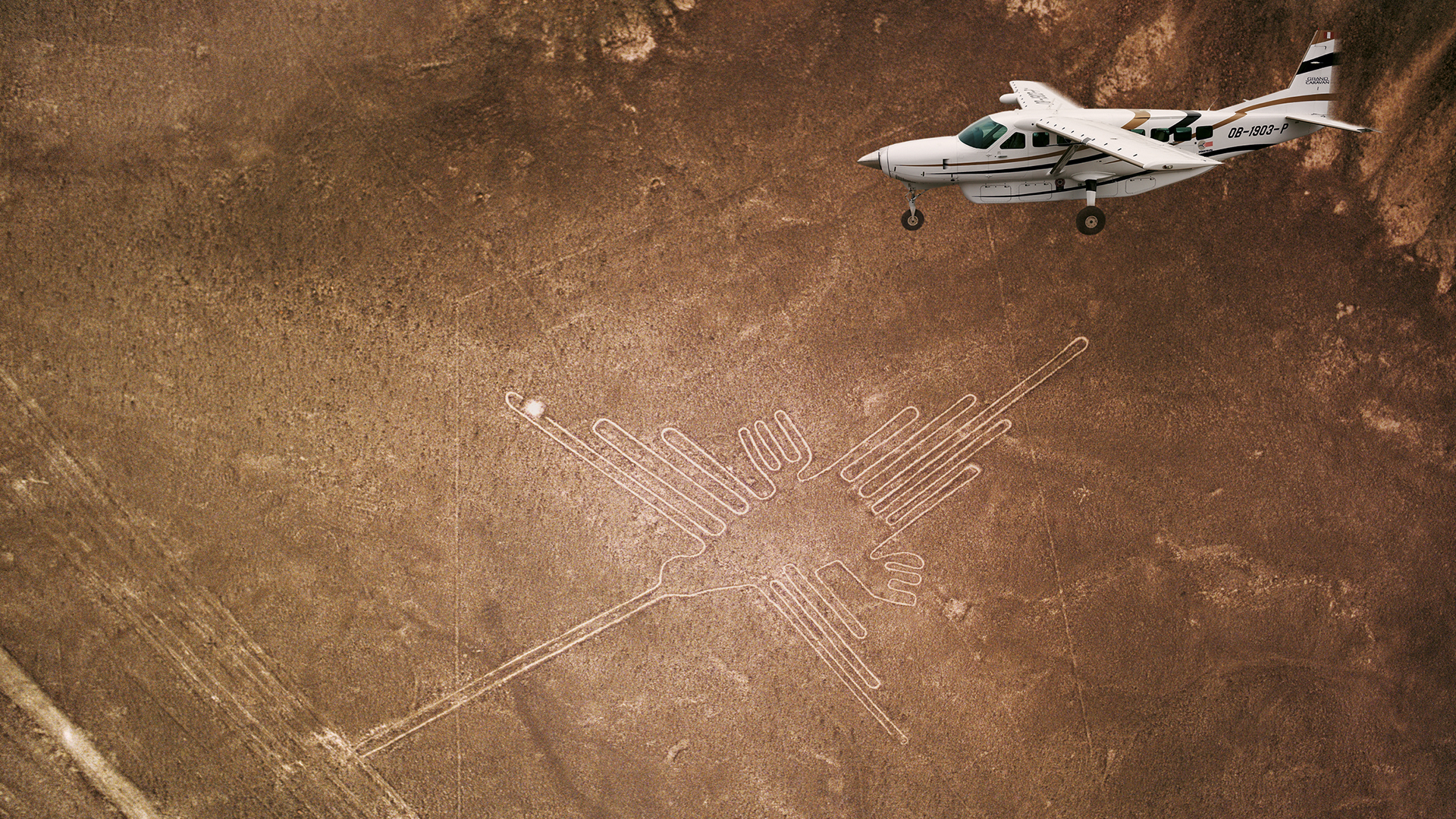 Nazca Homage Wallpapers