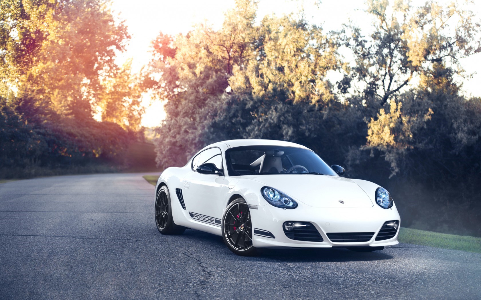 Porsche Cayman Wallpapers