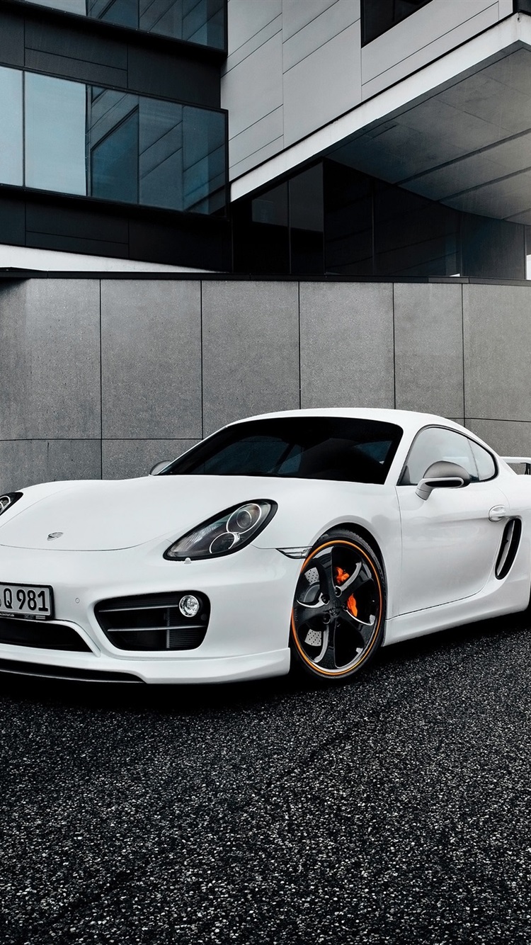 Porsche Cayman S Wallpapers