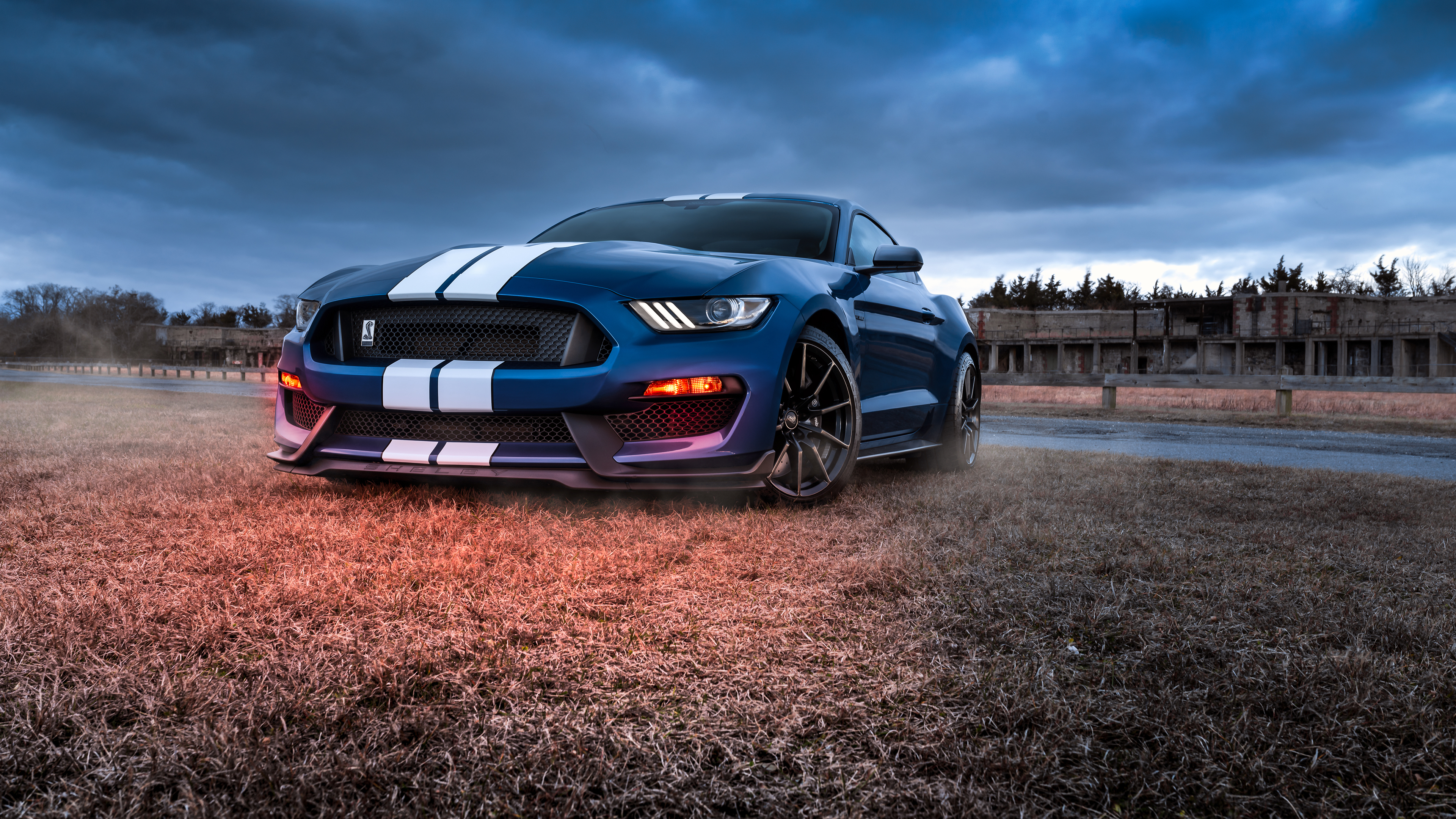 Shelby Wallpapers