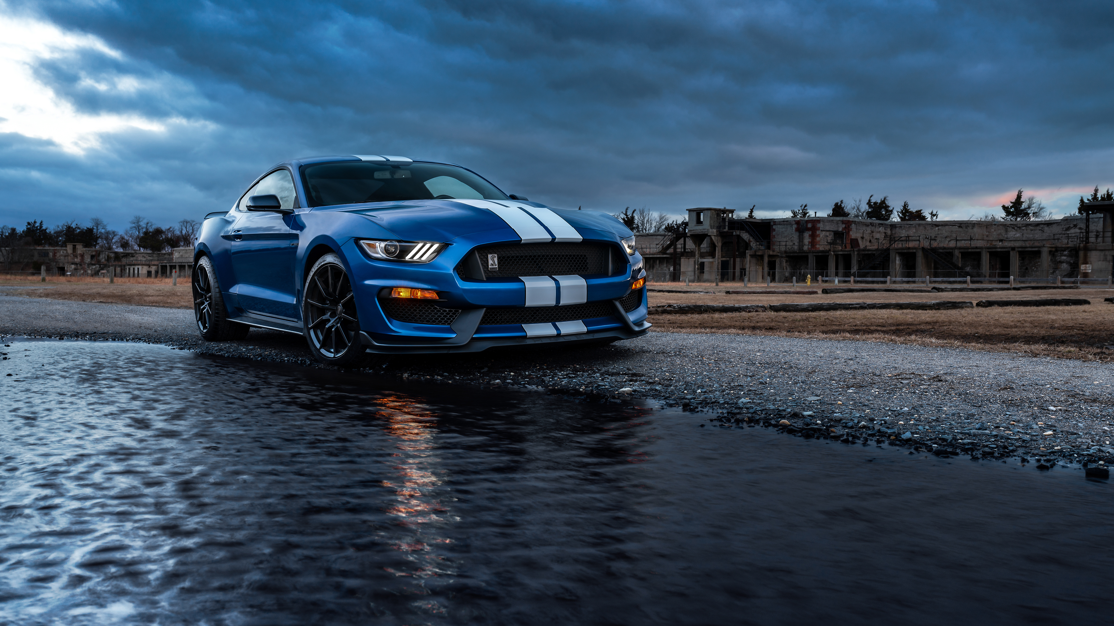 Shelby Wallpapers