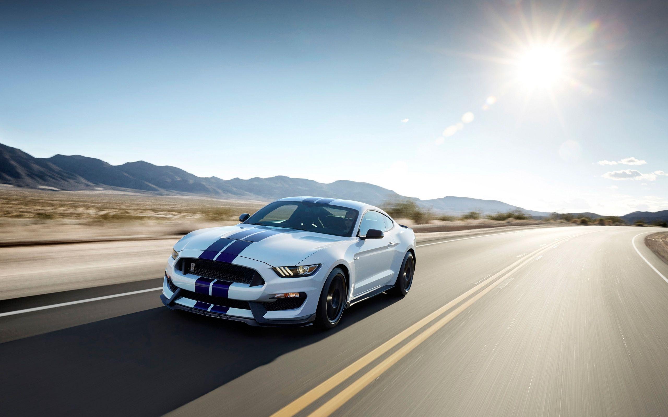 Shelby Wallpapers