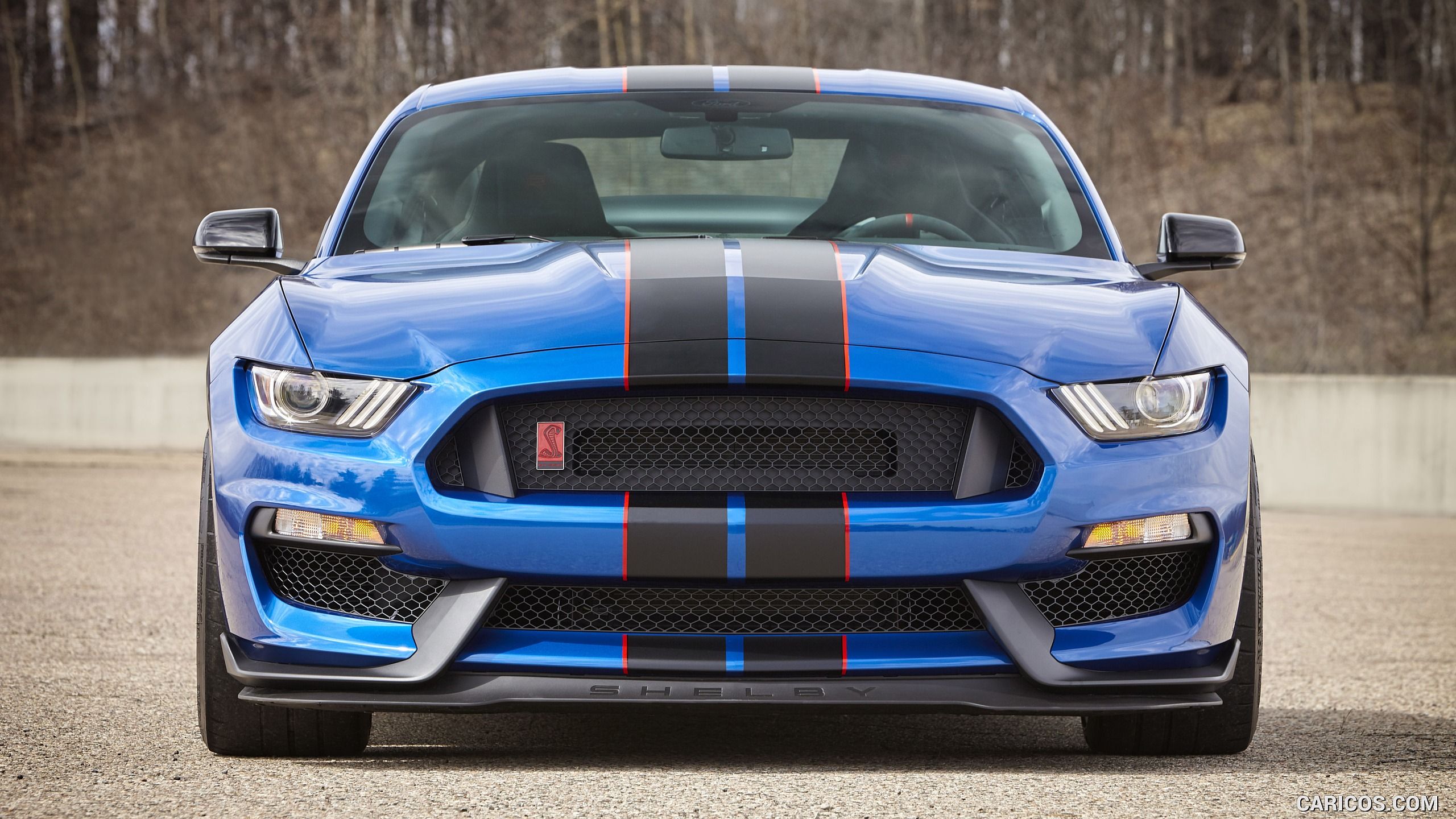 Shelby Gt350 Wallpapers