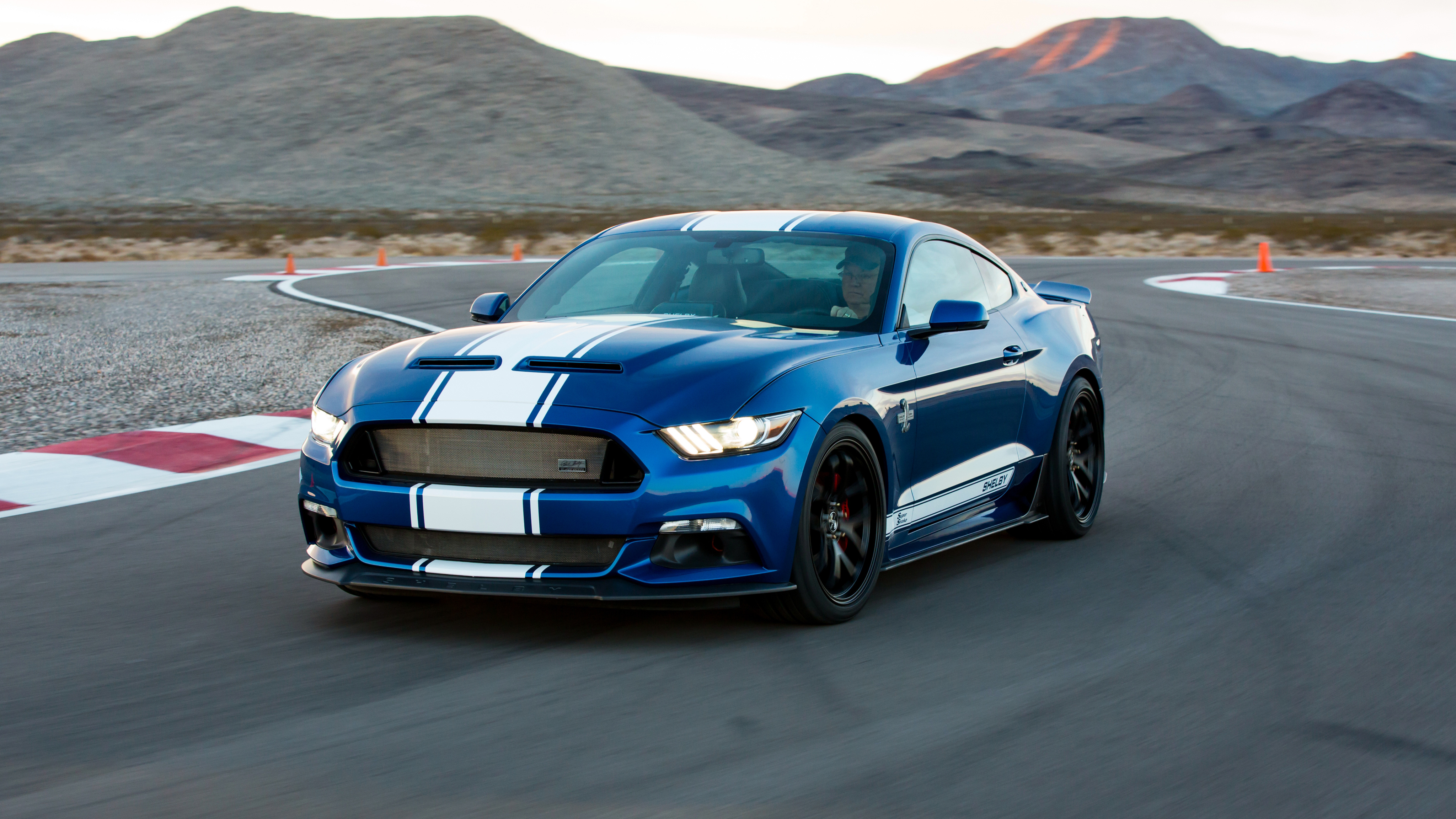 Shelby Super Snake Wallpapers