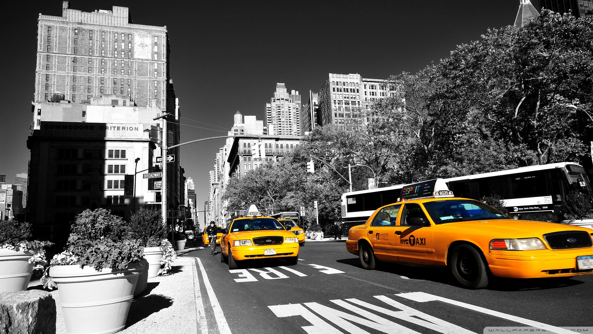 Taxi Wallpapers