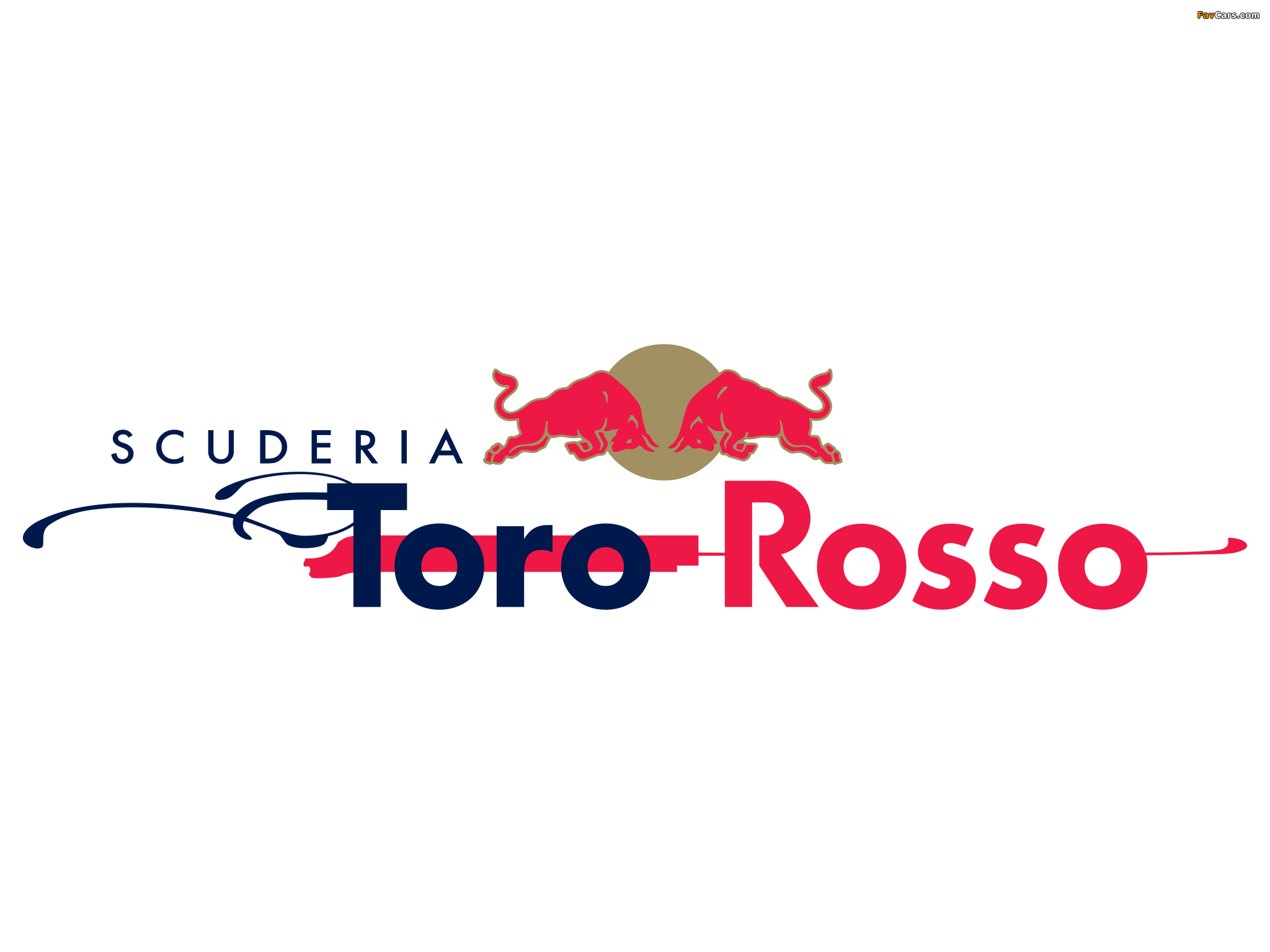 Toro Rosso Wallpapers