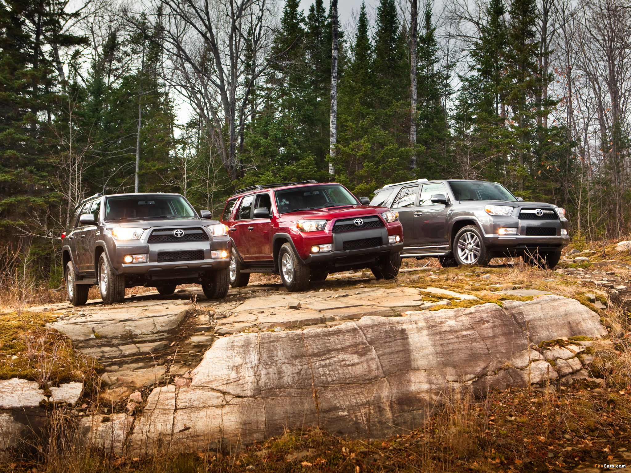 Toyota 4Runner Wallpapers