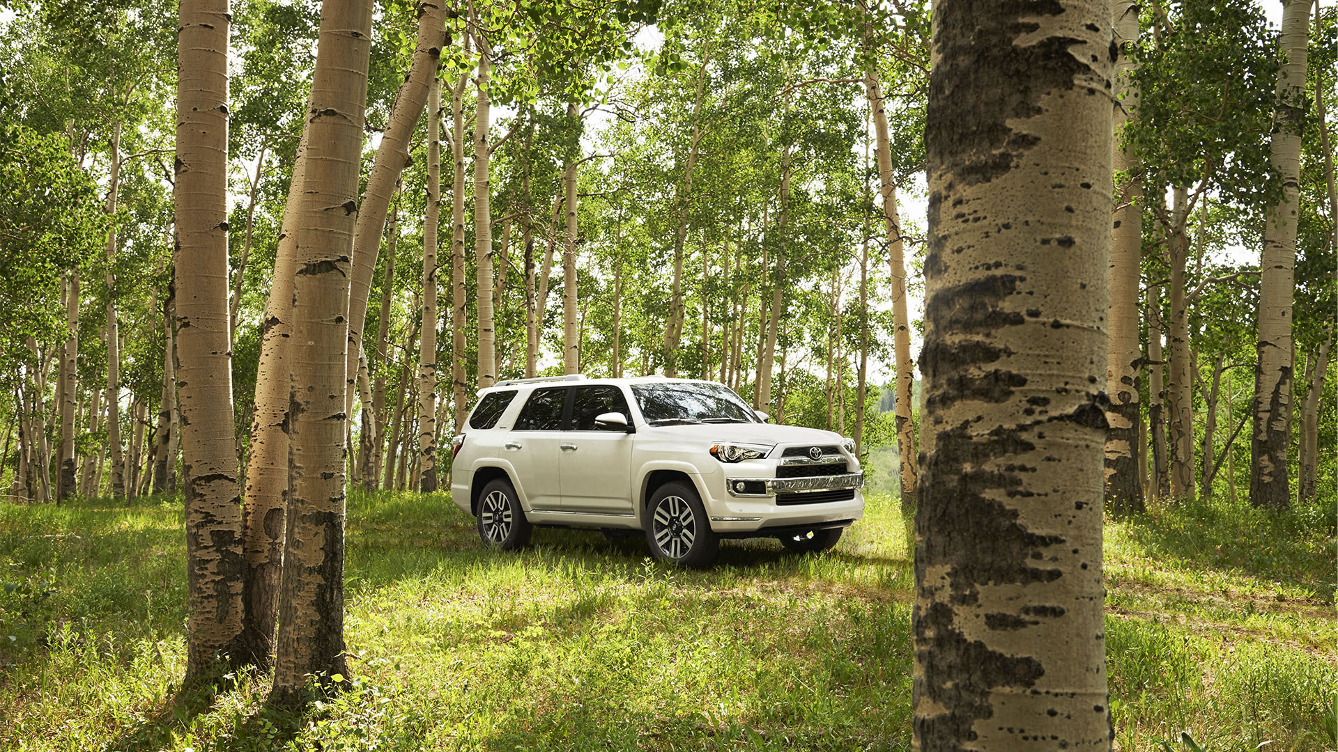 Toyota 4Runner Limited Wallpapers