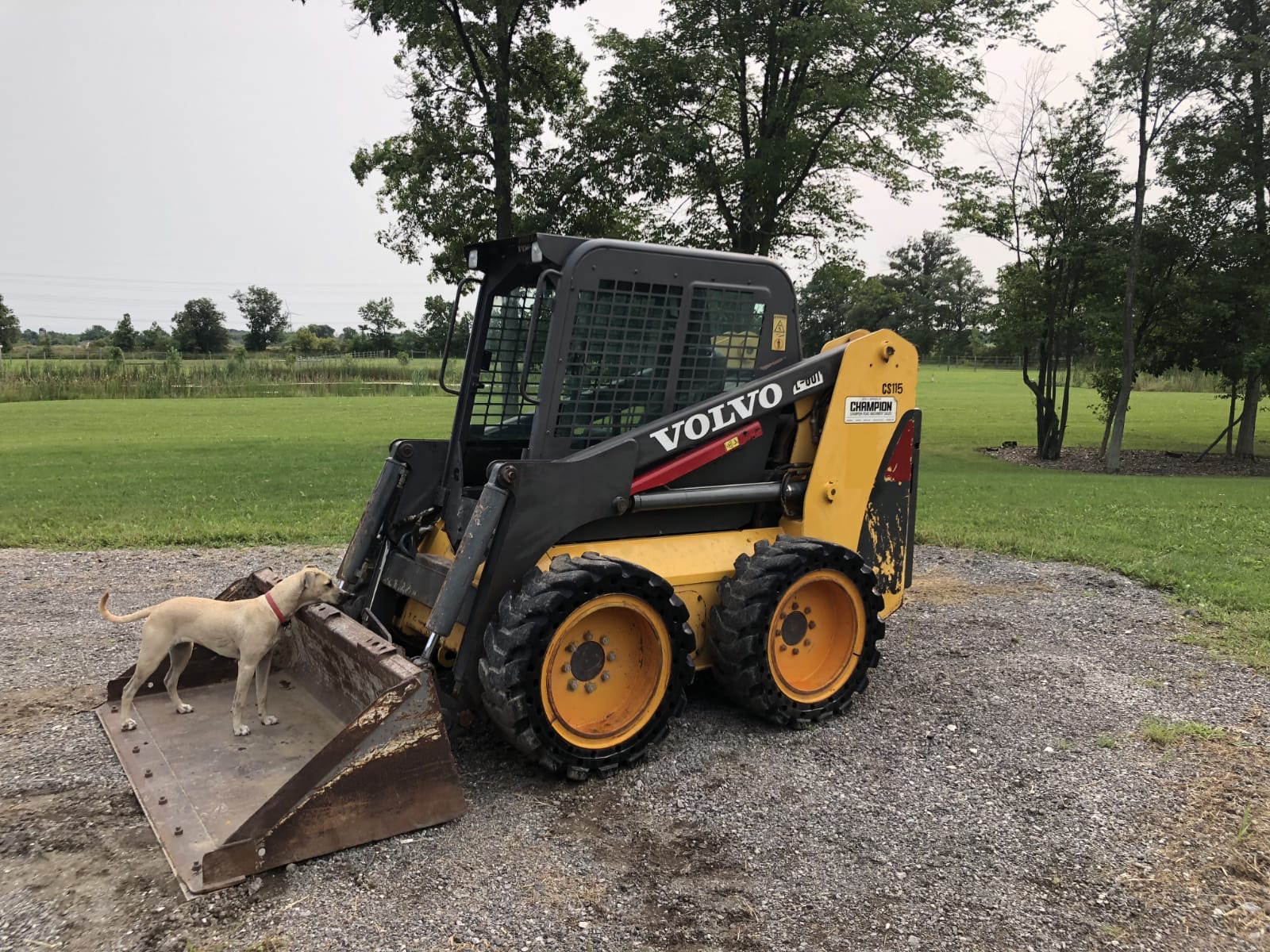 Volvo Skid Steer Wallpapers