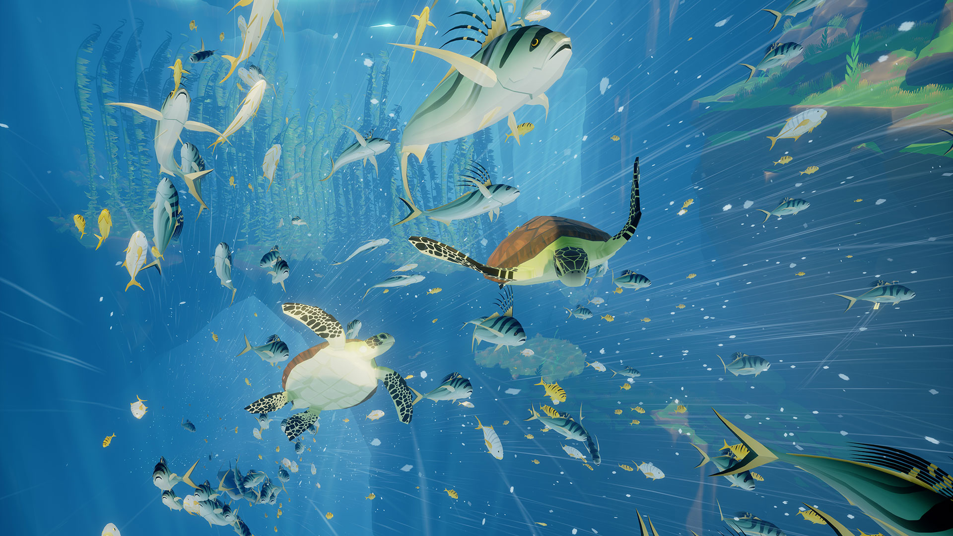 Abzu Wallpapers