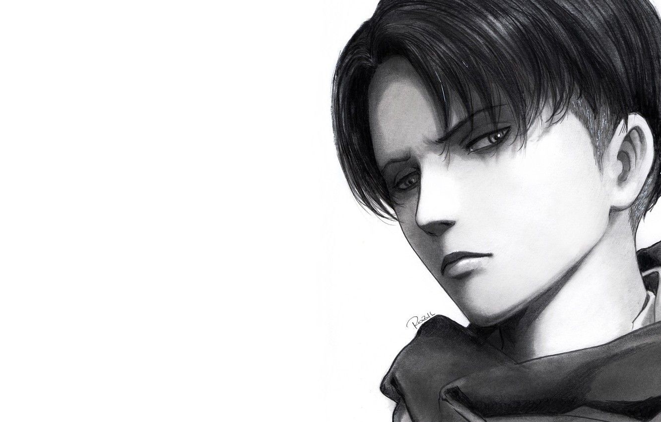 attack on titan black and white wallpapers Wallpapers