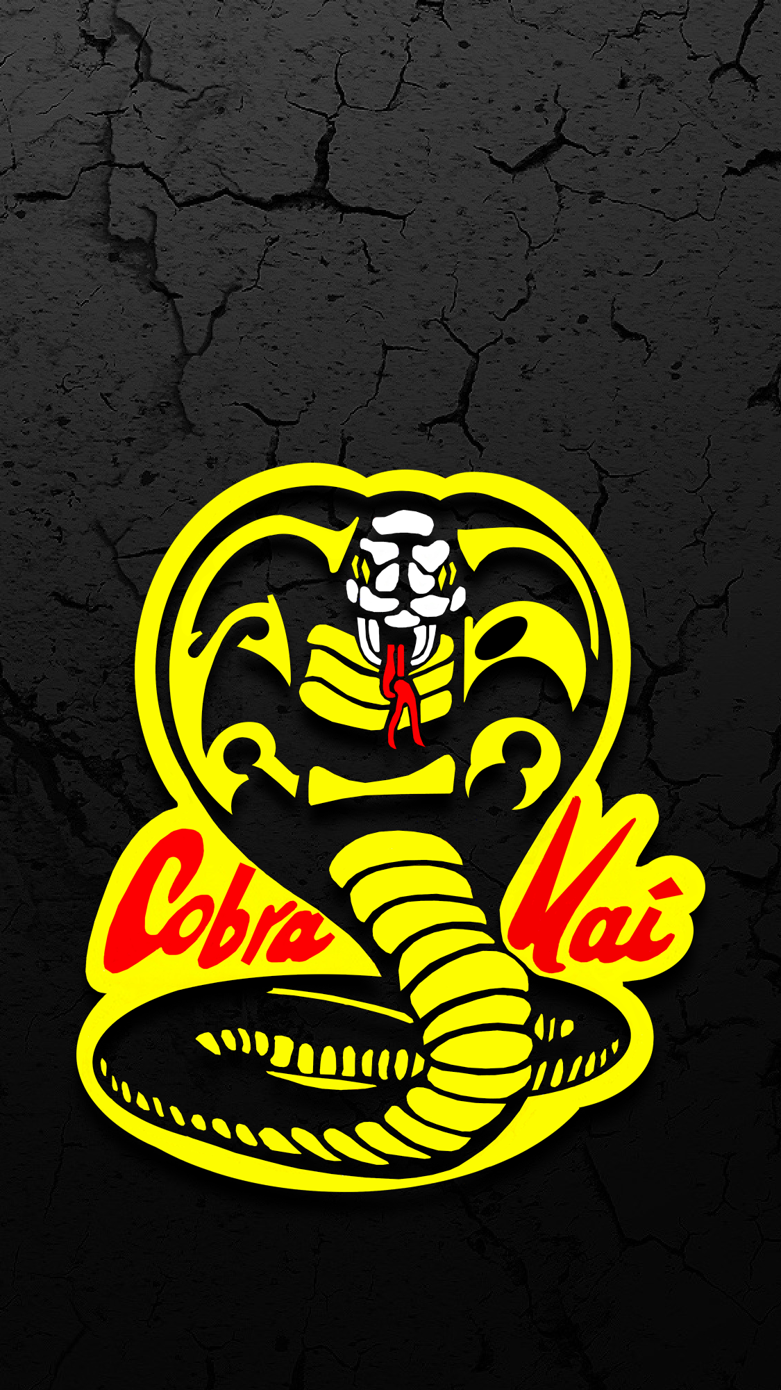 Cobra Kai Game Wallpapers