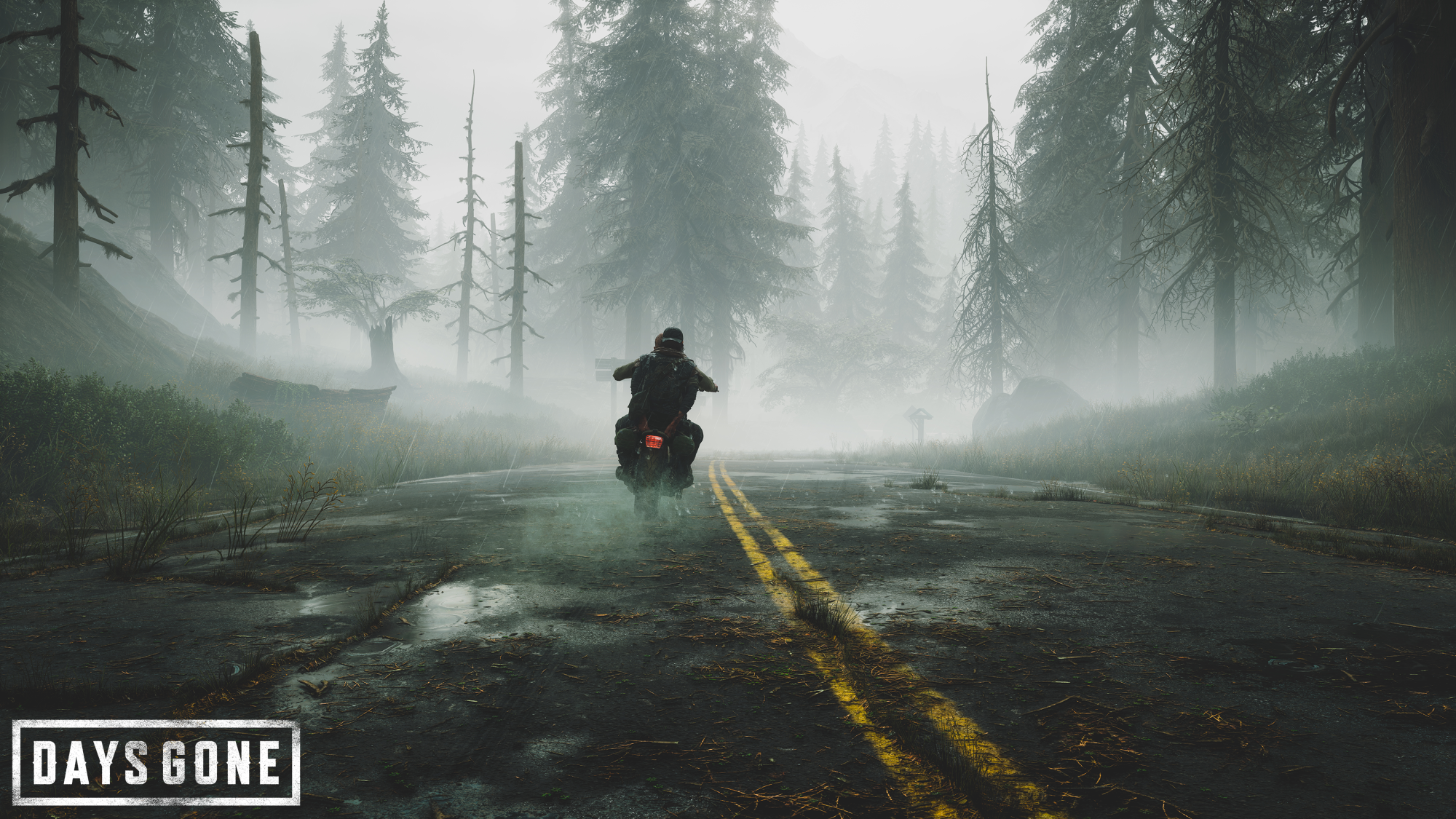 Days Gone New Wallpapers