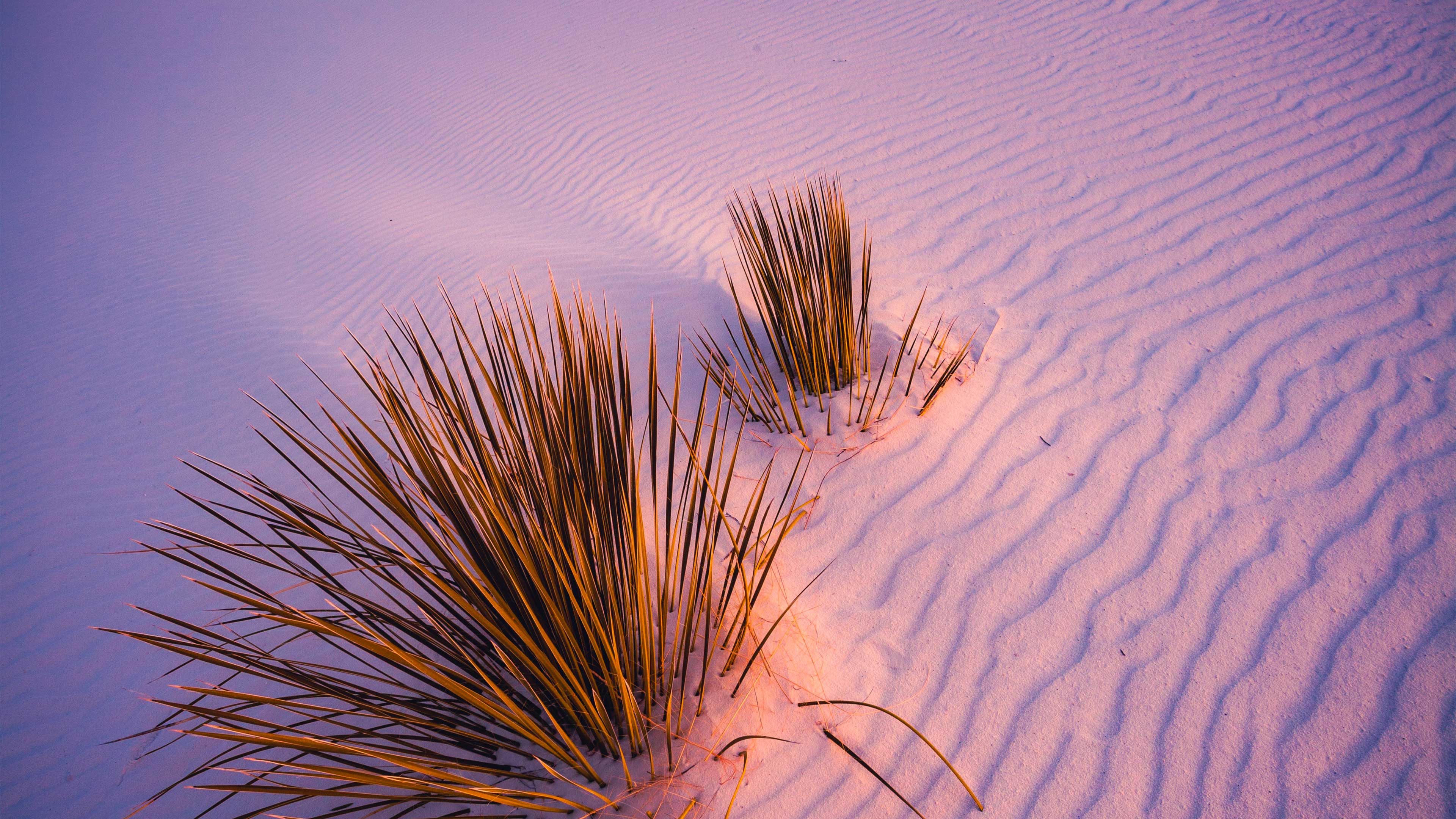 Dune HD Starsand Wallpapers