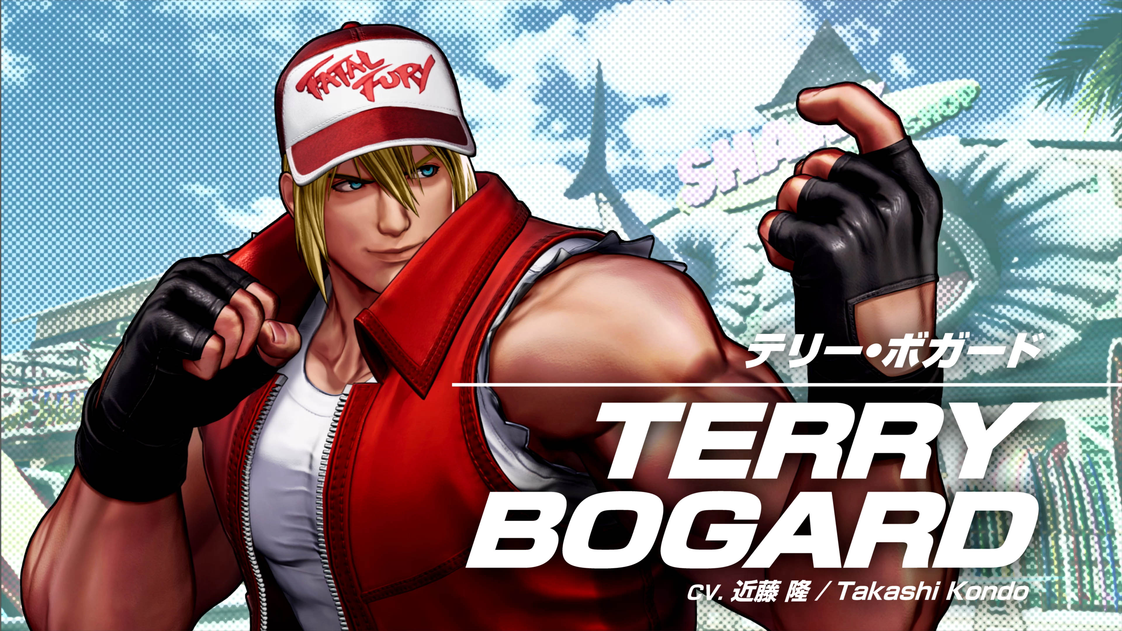 Fatal Fury Terry Bogard Wallpapers