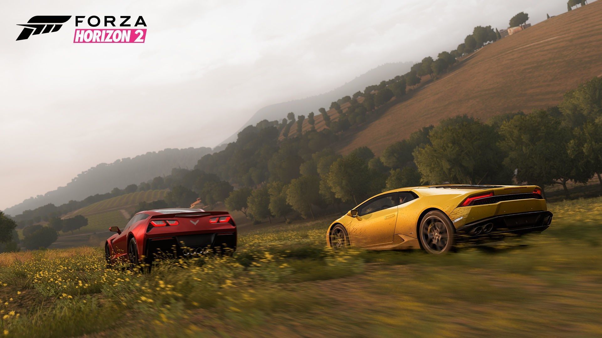 Forza Horizon 2 Wallpapers