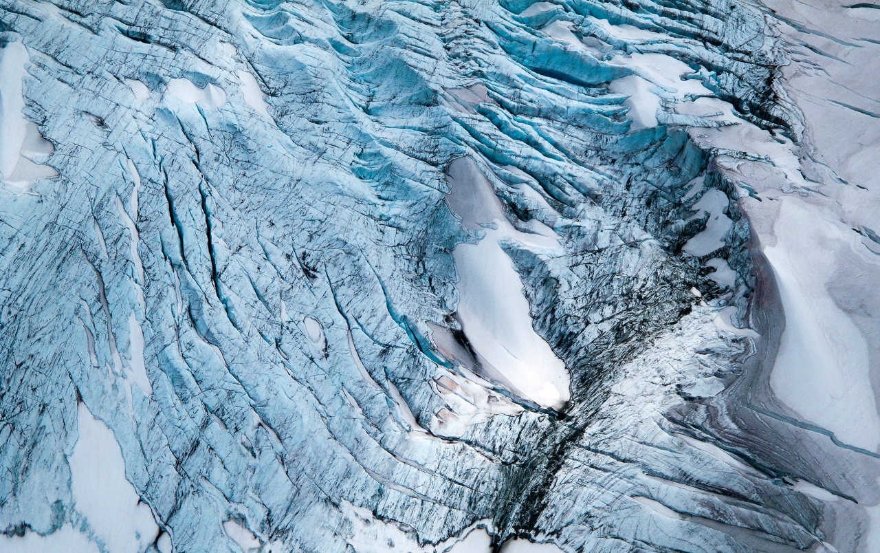 Frozen Lake Scavengers Wallpapers