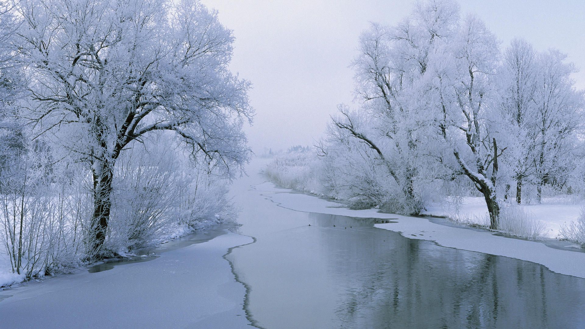 Frozen Lake Scavengers Wallpapers