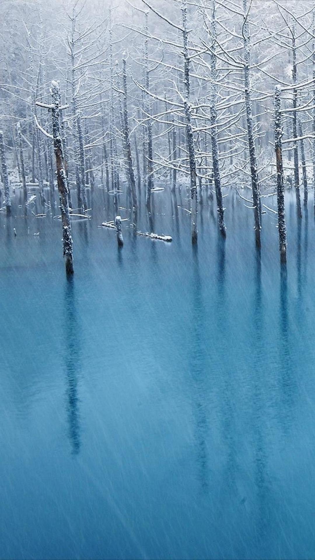 Frozen Lake Scavengers Wallpapers