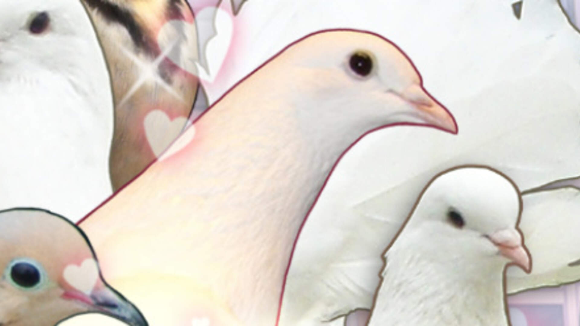 Hatoful Boyfriend Wallpapers