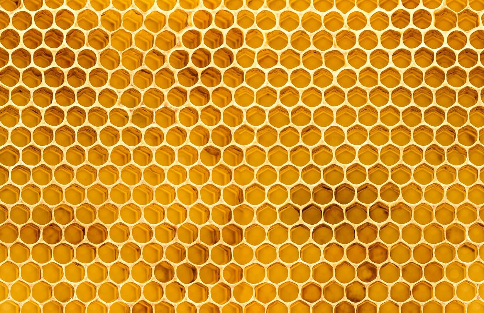 Hive Wallpapers