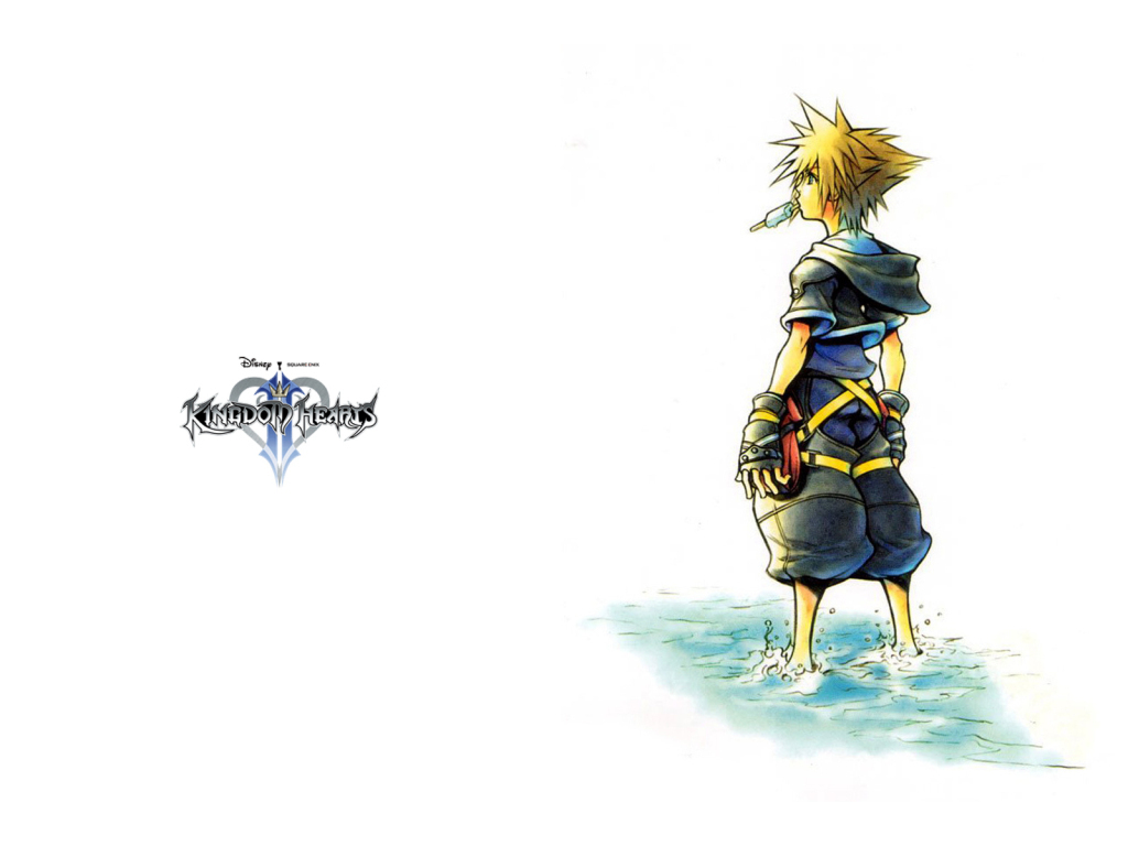 Kingdom Hearts II Wallpapers