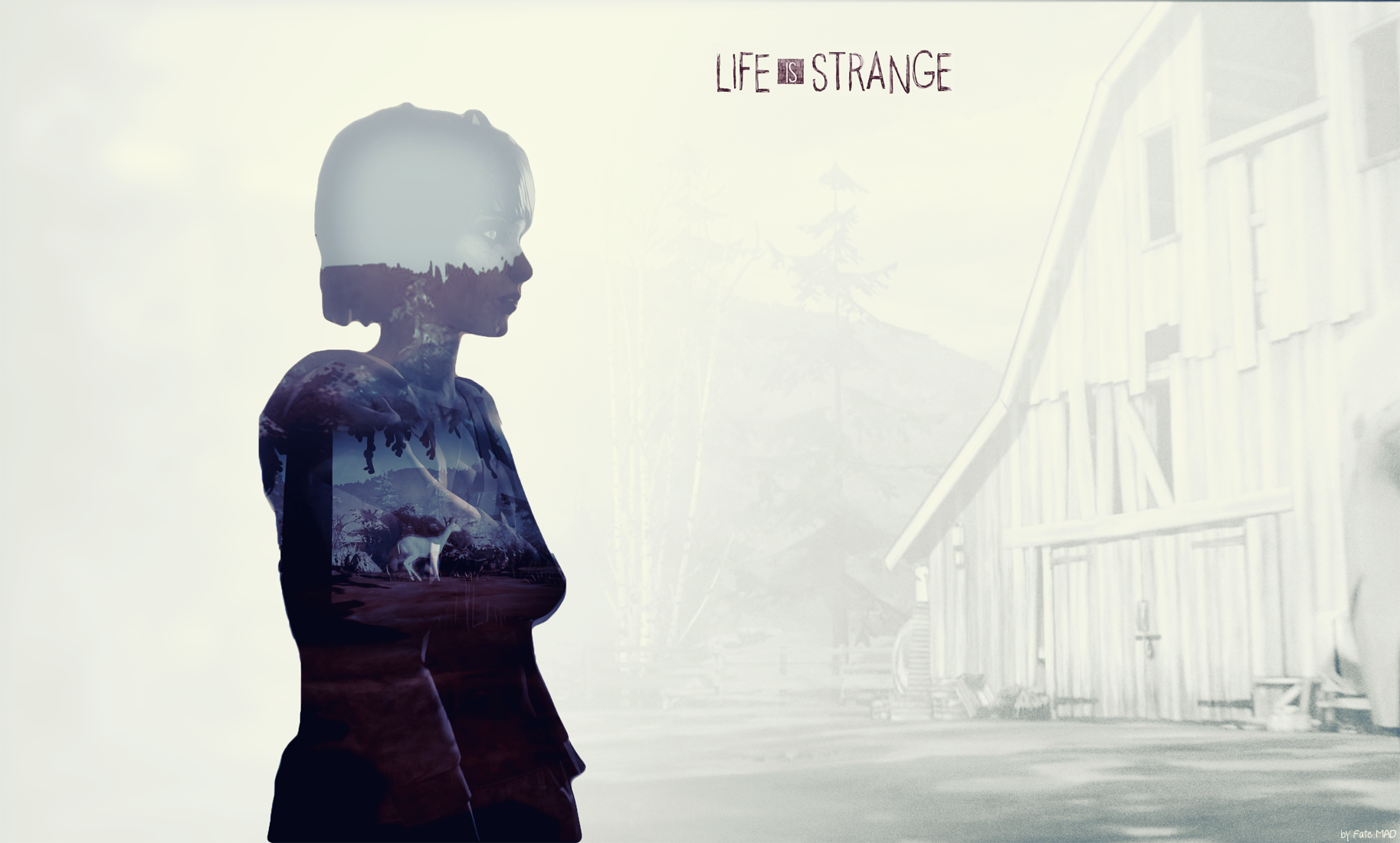 Max Life is Strange Drawing Wallpapers